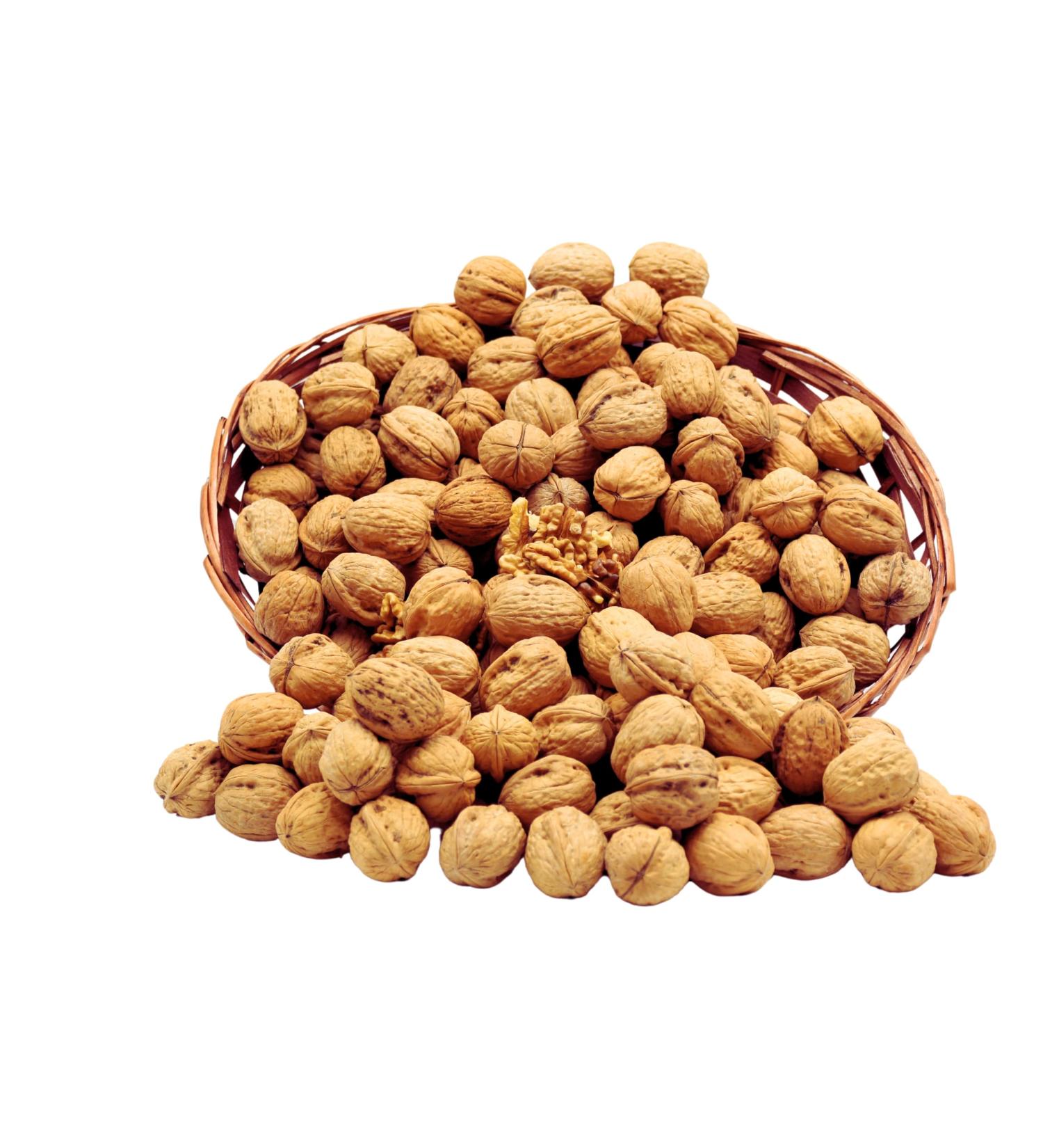 BAMELO Walnuts in shell 34-36mm (Grenobler) Current harvest 1 kg (1 pack))