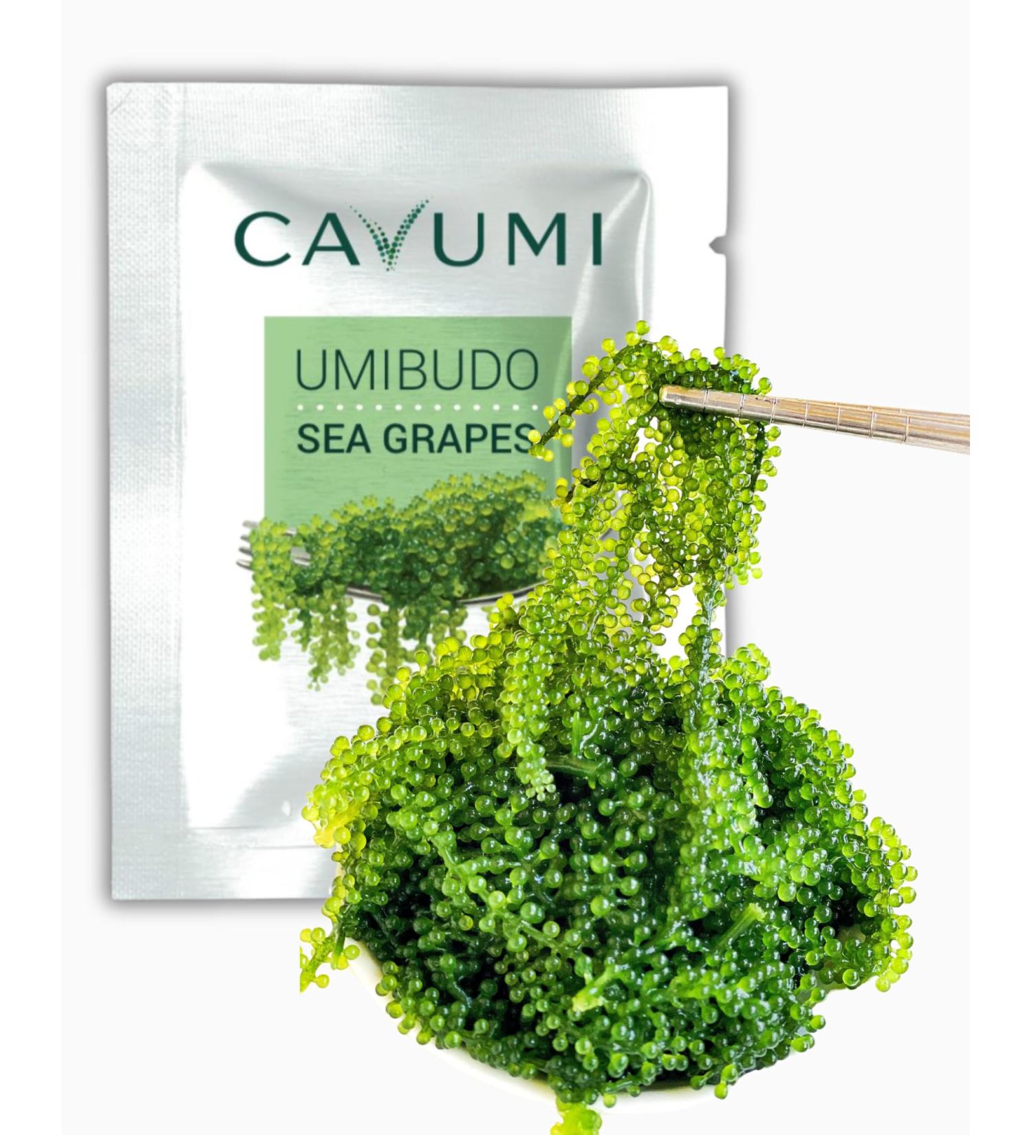 CAVUMI Sea Grapes 20g - Crunchy Seaweed Snack | Umibudo Green Caviar for International Shipping - Buy Online on GoSupps.com