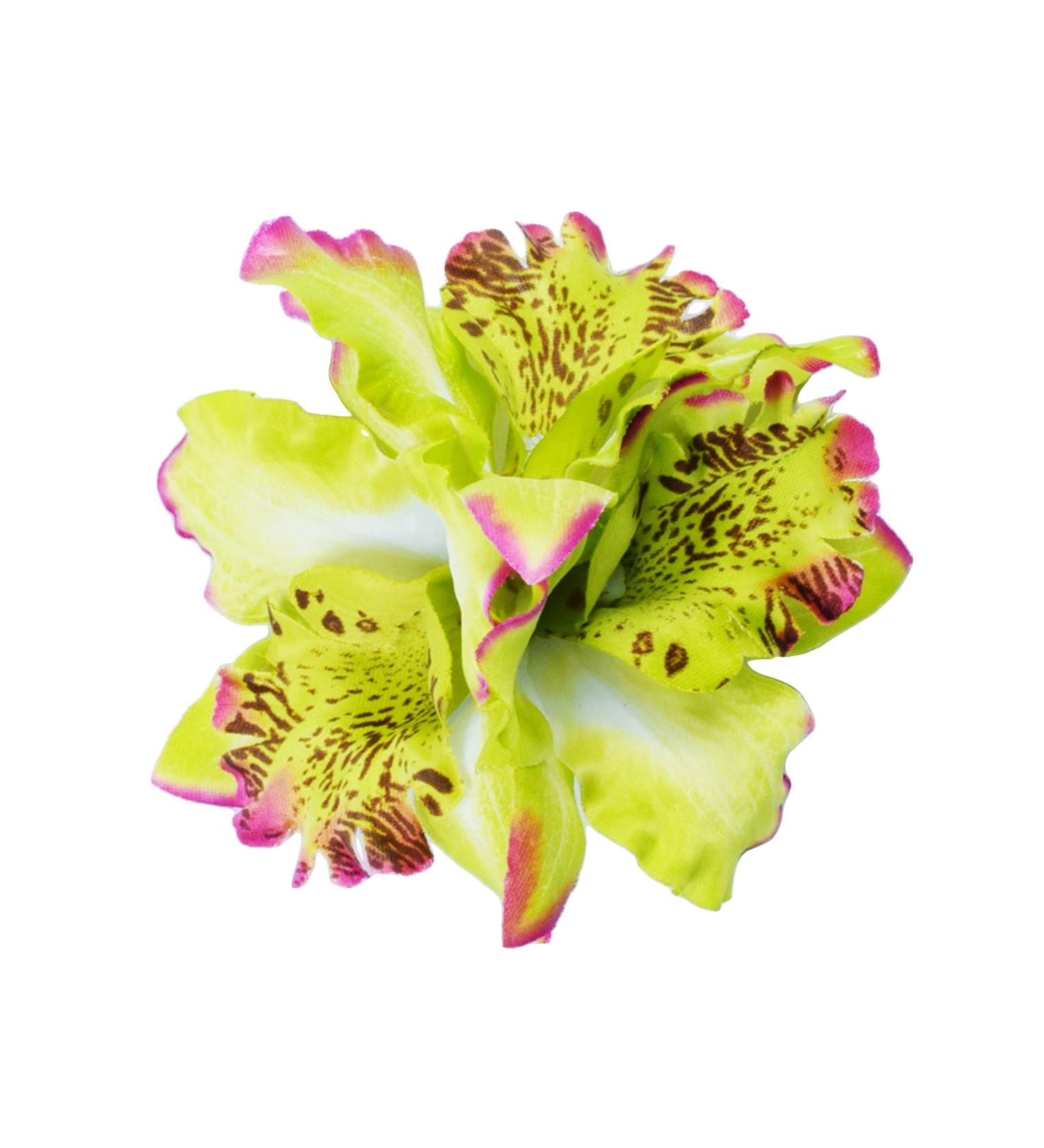 Buy Diawell Orchid Hair Clip - Beautiful Flower Blossom Corsage Accessory - Green 3x Flowers for Weddings & Special Occasions - Buy Online on GoSupps.com
