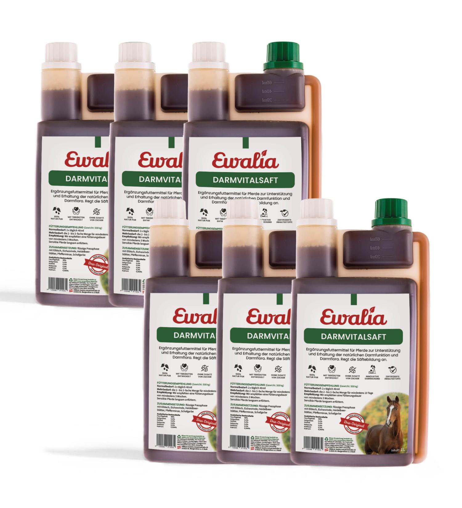 Ewalia Vital Intestinal Juice Premium Quality Feed Supplement for Horses to Support Intestinal Health Natural Stabilization of Intestinal Flora with the Power of Herbs  - Buy Online on GoSupps.com