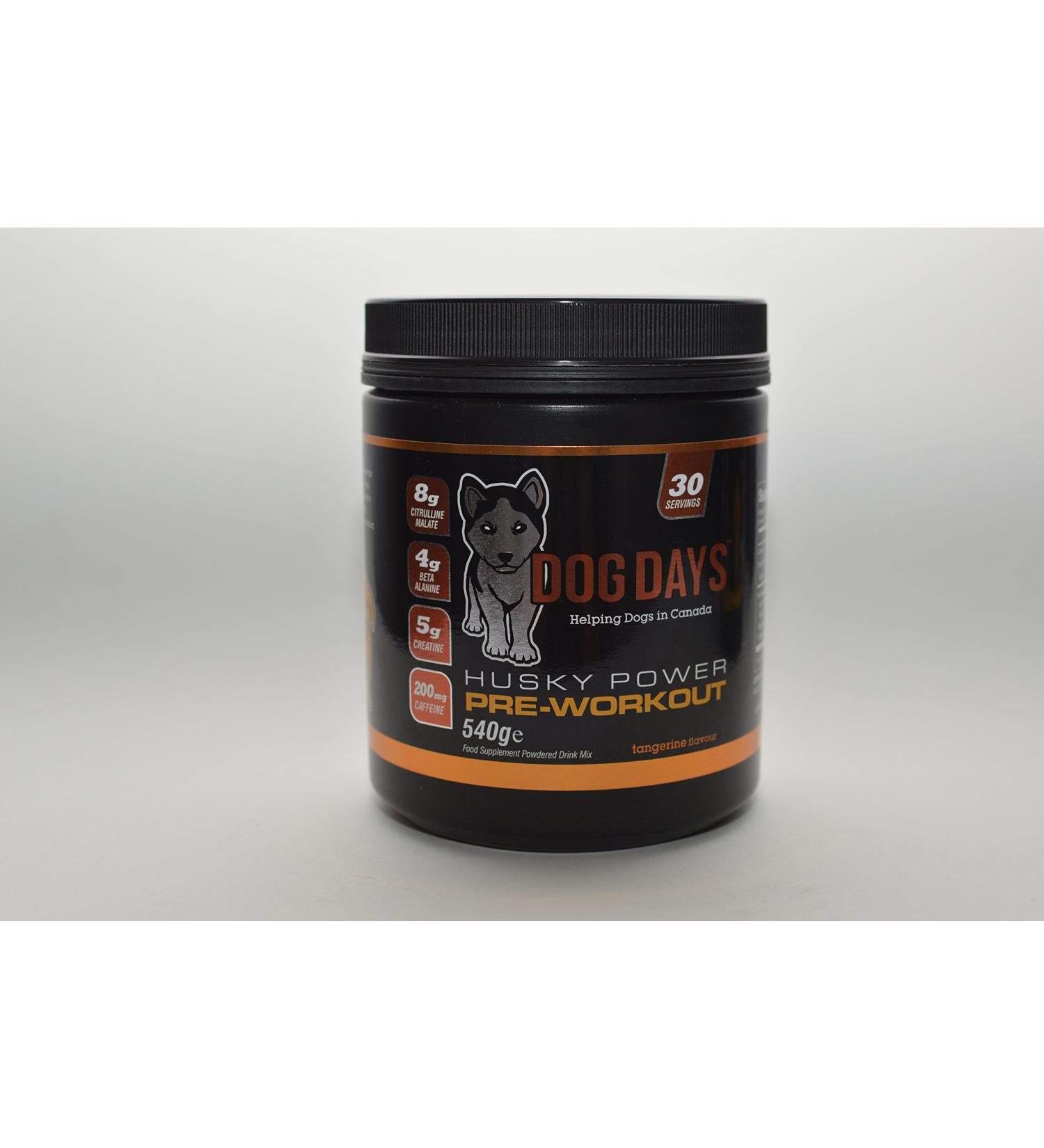 Husky Power Pre-Workout (Tangerine) Feeds 5 Rescue Dogs! - Buy Online on GoSupps.com