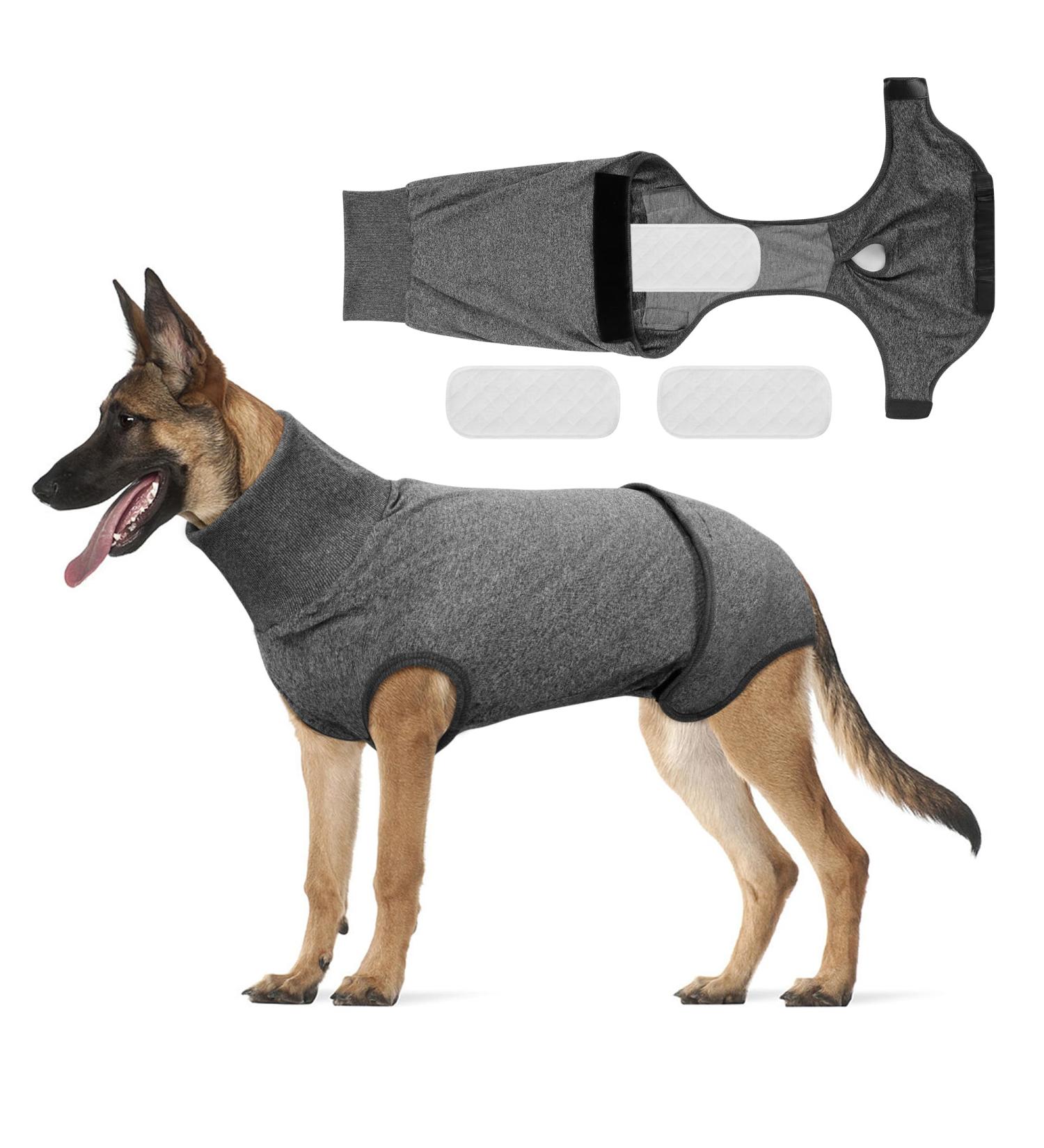 Dogebody After Op - Premium Dog Body for Male Castration Recovery | Leak Protection Dog Diapers & Wound Care - Buy Online on GoSupps.com