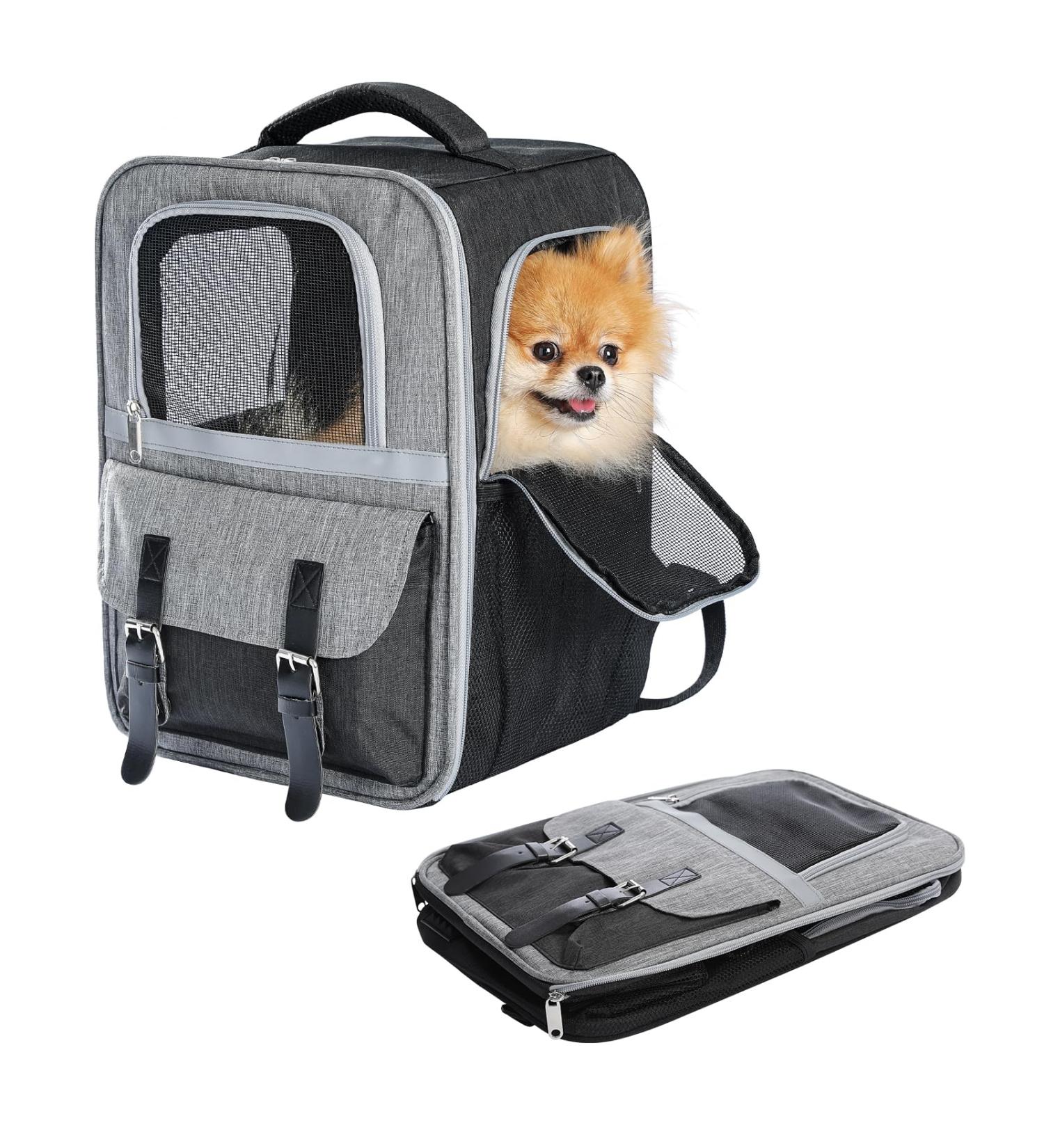 PETEPELA Dog Carrier Backpack for Puppy Cat Carrier and Dog Backpack with Dual Mesh Window Entrance Built-in Hook for Collar Connection Side Pockets for Storage and Adjustable Straps - Buy Online on GoSupps.com
