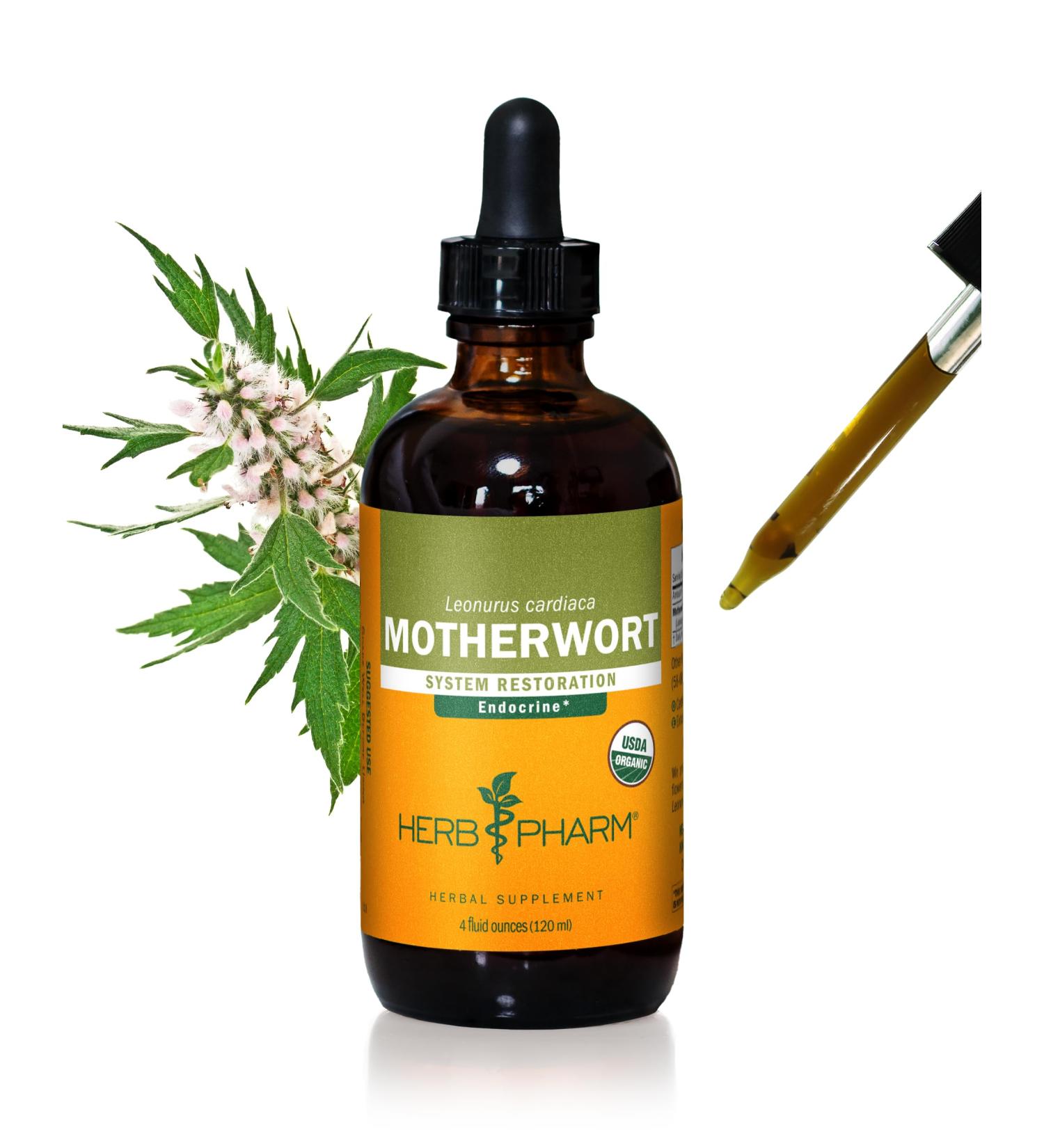 Herb Pharm Certified Organic Motherwort Liquid Extract for Endocrine System Support - 4 Ounce 4 Fl Oz (Pack of 1) - Buy Online on GoSupps.com