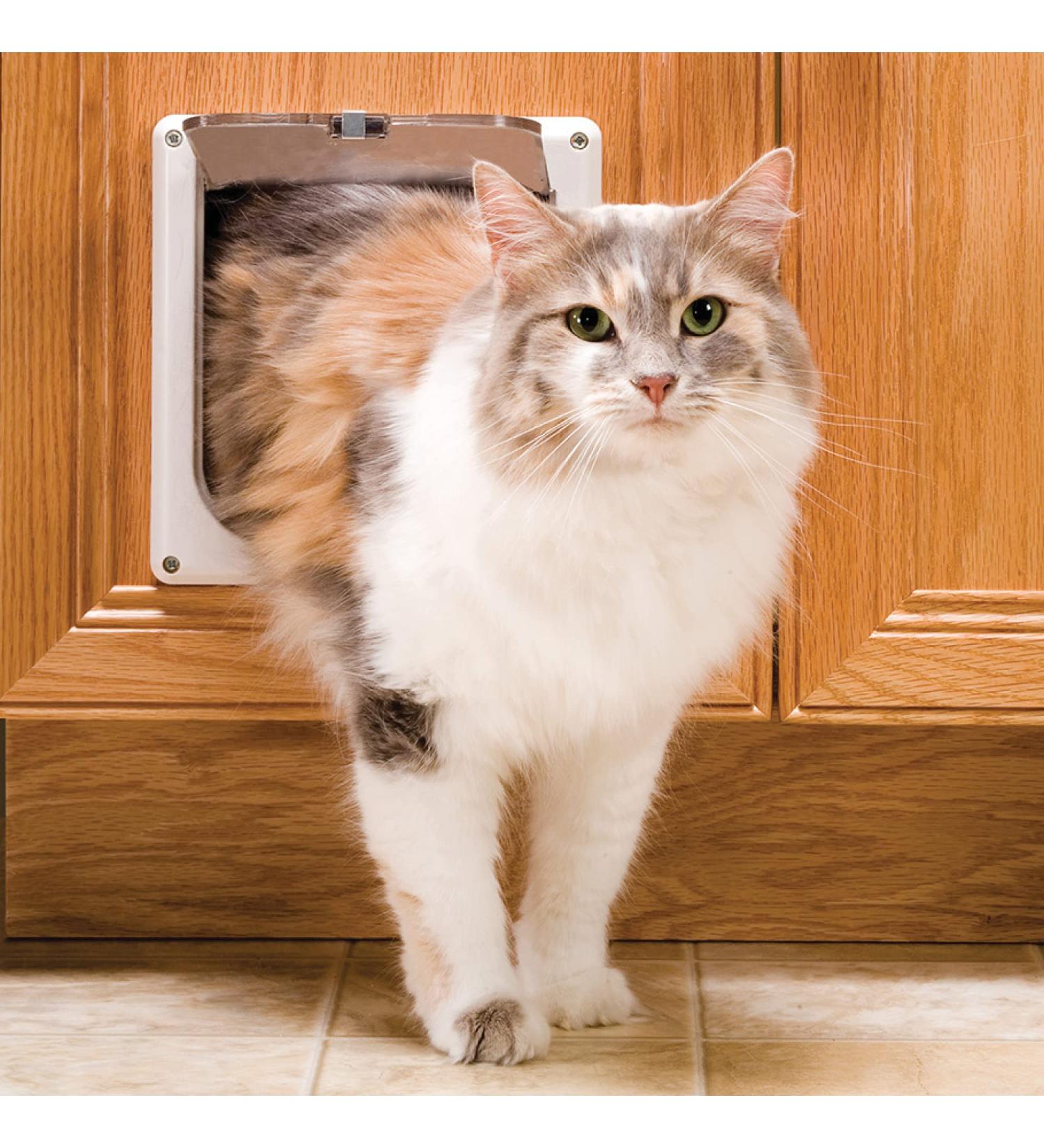 PetSafe Cat Door for Interior Doors - 2-Way Locking Flap for Privacy - Easy DIY Install - Durable Frame - Up to 15 lb Pets - Buy Online on GoSupps.com