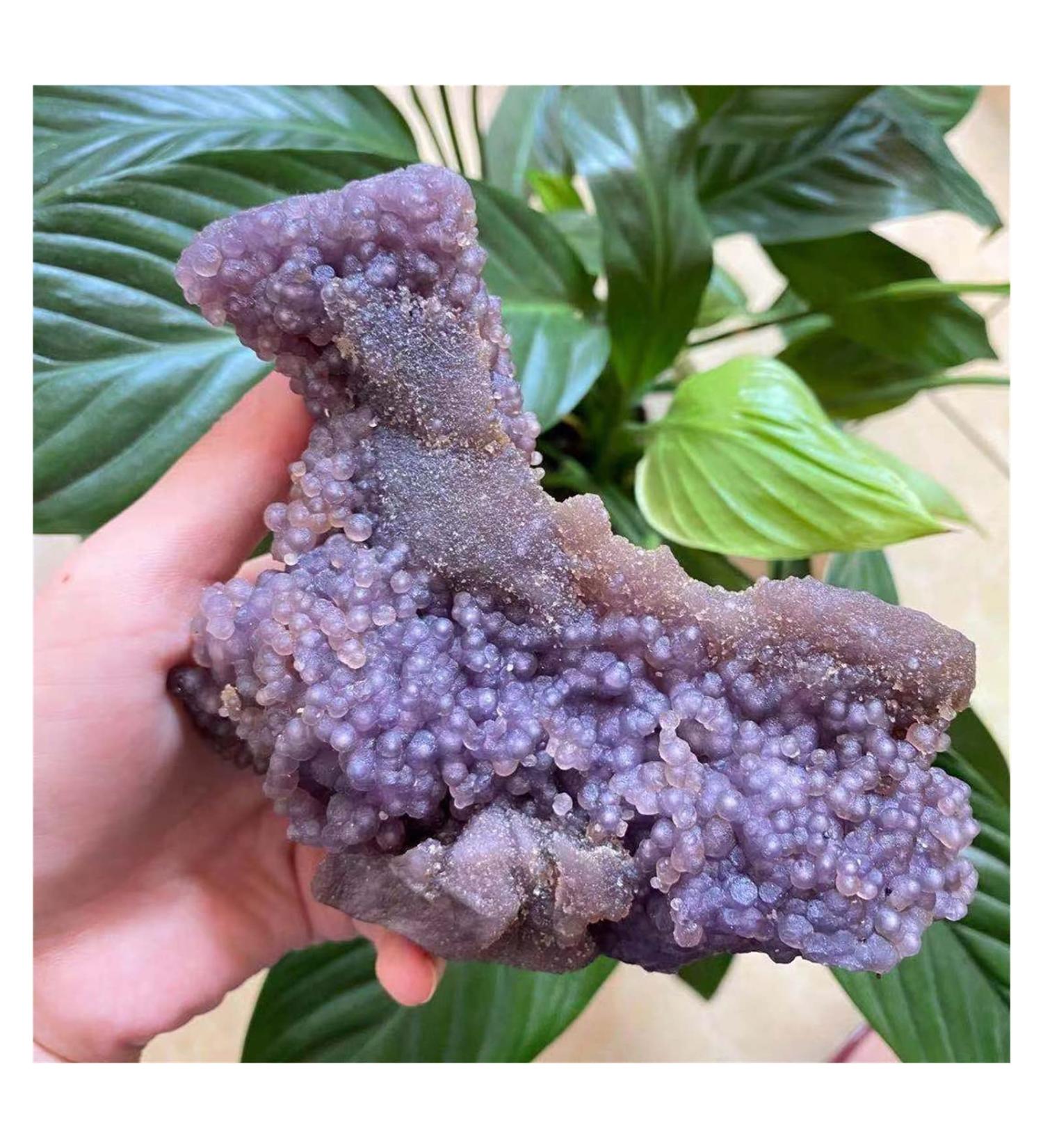 Natural Crystal Rough Natural Crystal Rough Rare! Top Natural Grape Agate Crystal Quartz Specimen ReikiAntiques Exorcise Evil Spirits Money Drawing Semi-Precious Stone Jade Jaspery Natural (Size : 50 500-550g - Buy Online on GoSupps.com