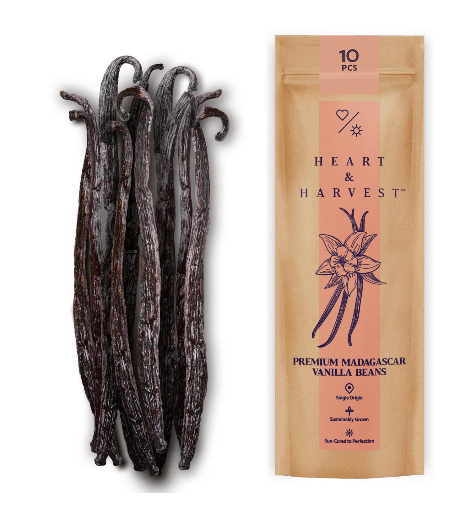 Premium Madagascar Vanilla Beans Grade A - Pack of 10 Whole Bean Sticks for Baking, Ice Cream & Extract - 5-6 Long Pods - 10 Count - Buy Online on GoSupps.com