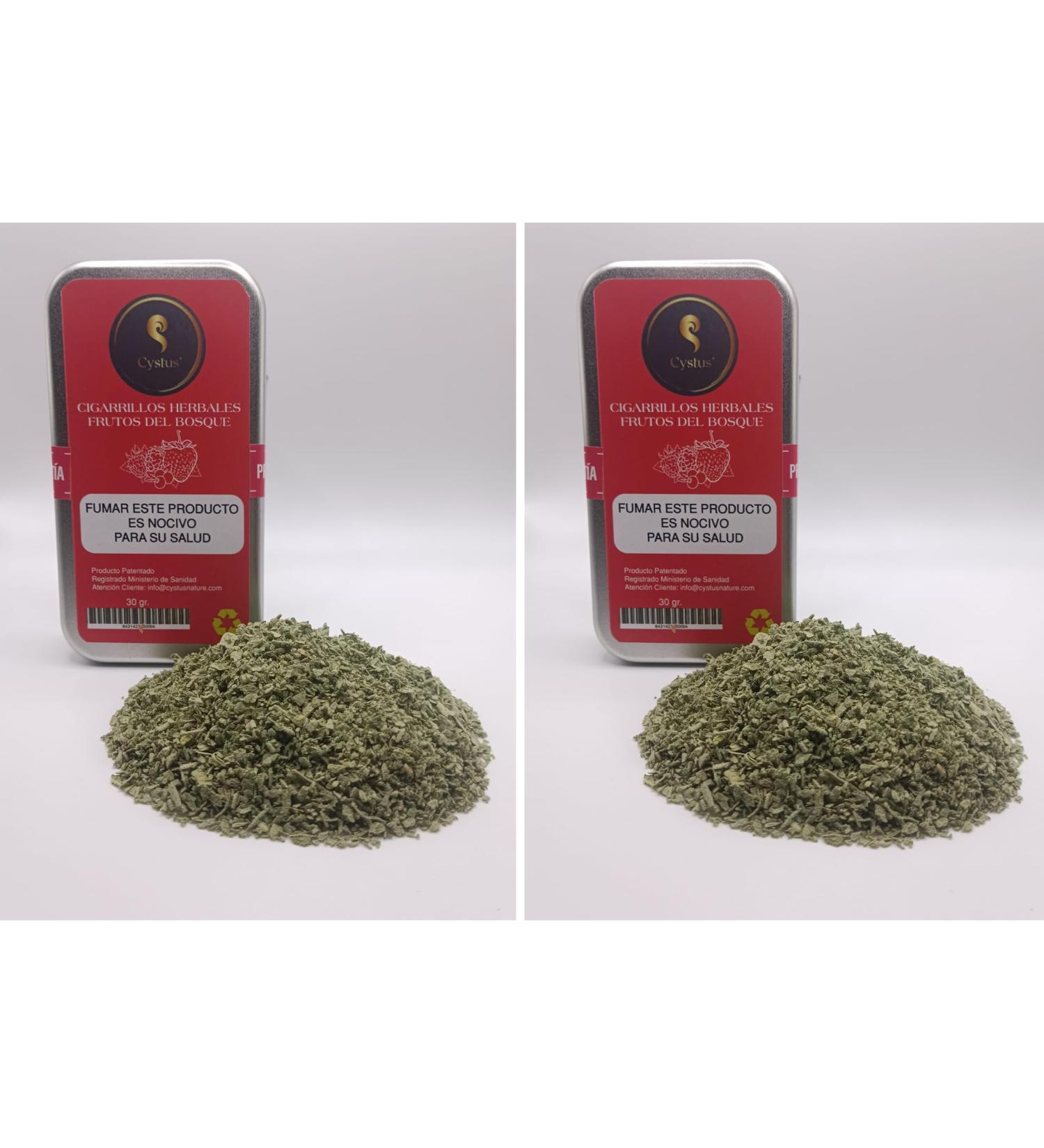 CYSTUS Forest Fruit Flavour Premium Edition Pack