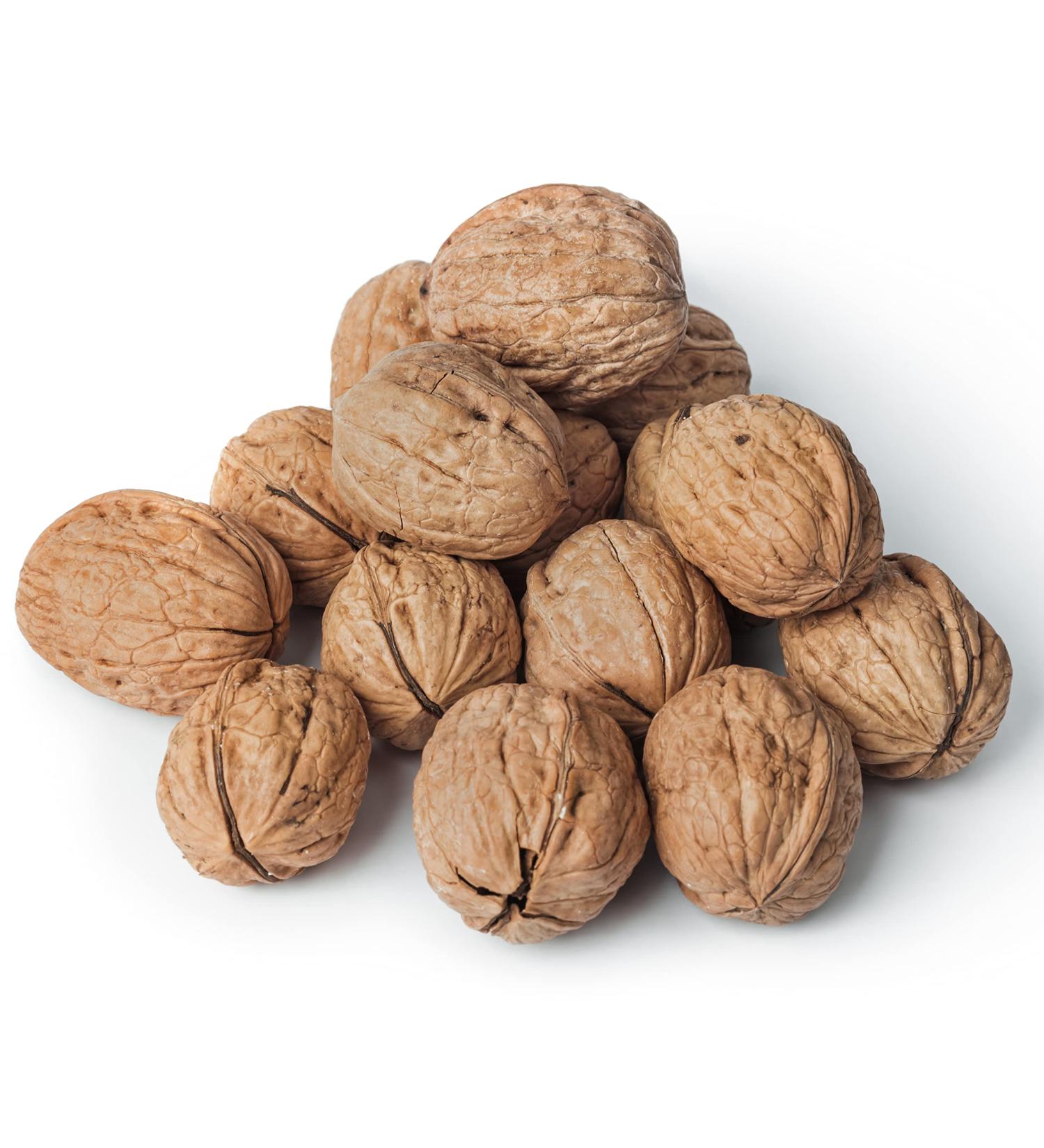 New Harvest 2022: 25kg Raw & Unprocessed Walnuts in Bowl for Squirrels - 100% Vegan & Natural - Buy Online on GoSupps.com