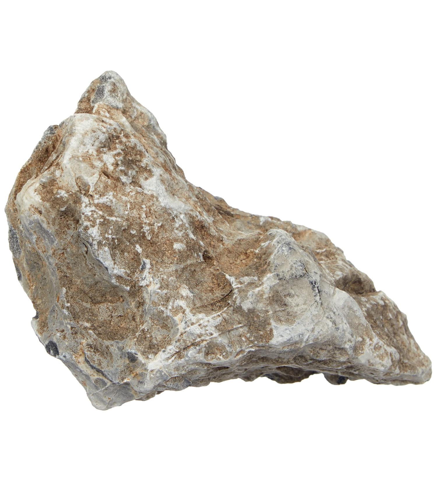 Amtra - Rock Dragon Stone Boutique aquarium decoration natural limestone 1 KG . Small 0.6-2 KG - Buy Online on GoSupps.com