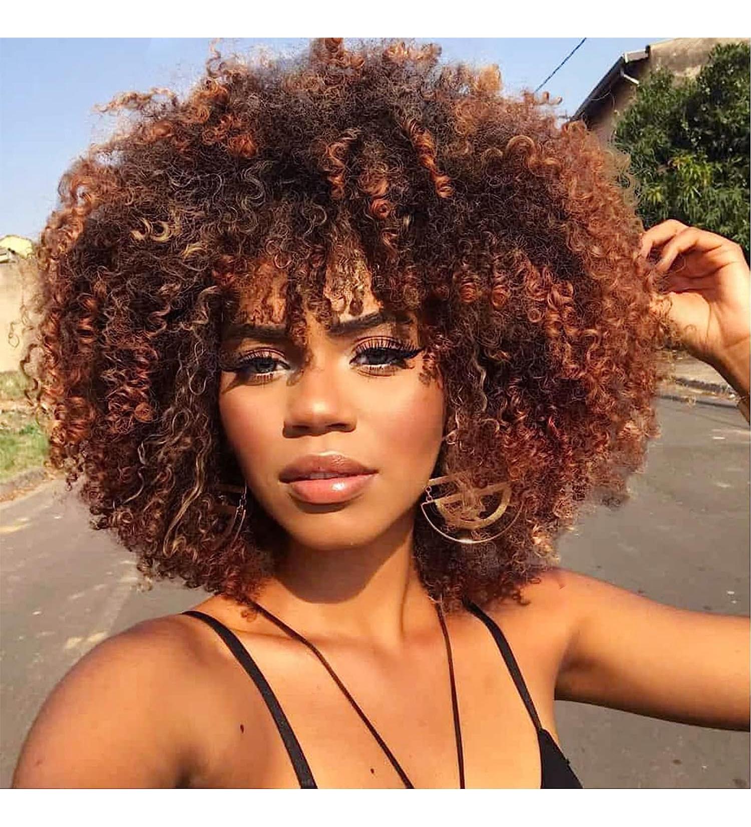 14-Inch Porsmeer Curly Afro Wig for Women | Fluffy Kinky Curly Bob in Dark Brown & Auburn | Volume Hair Wig for Black Women - Buy Online on GoSupps.com