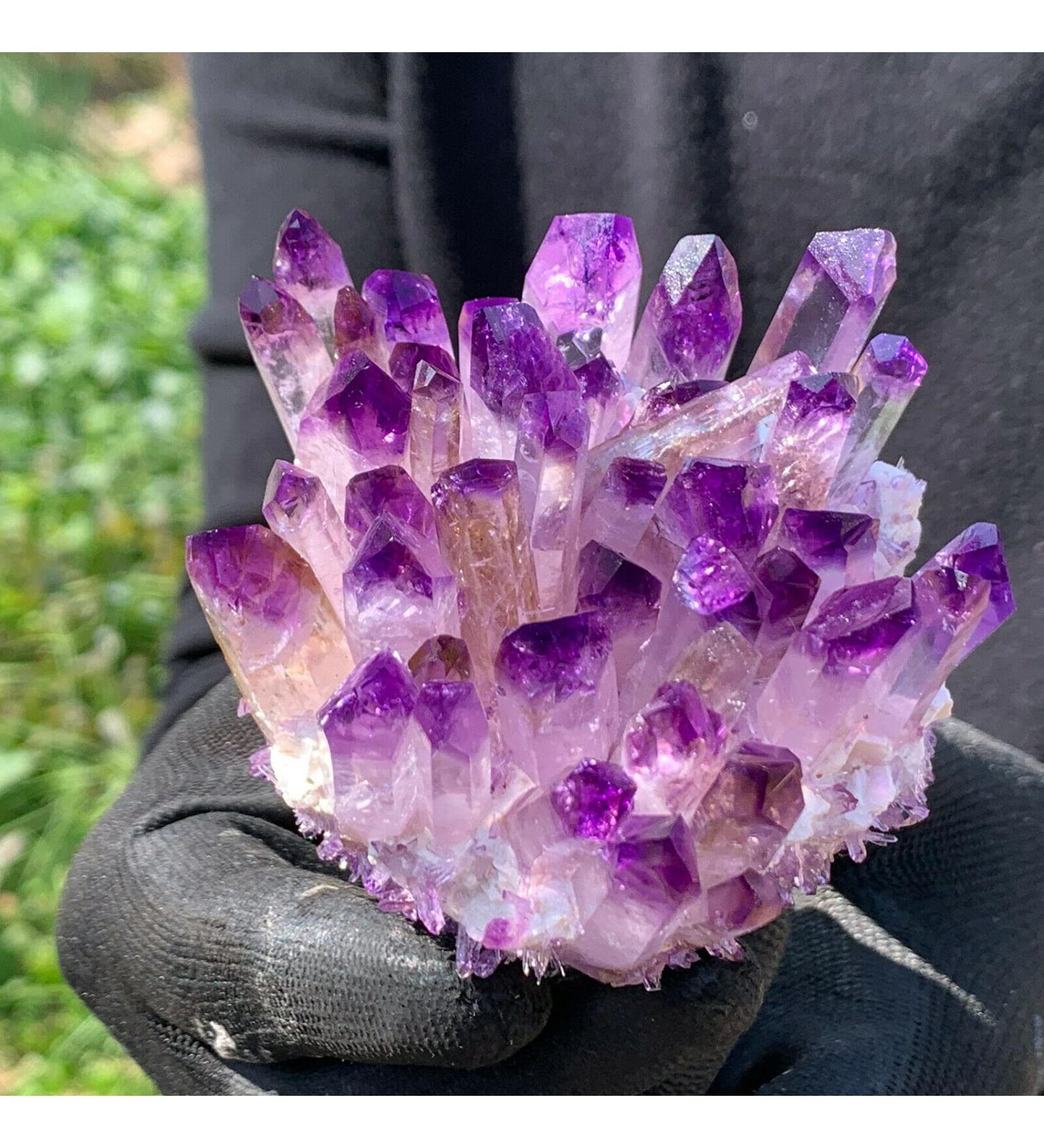 New Find Purpl Phantom Quartz Crystal Cluster Specimen 400g - Buy Online on GoSupps.com