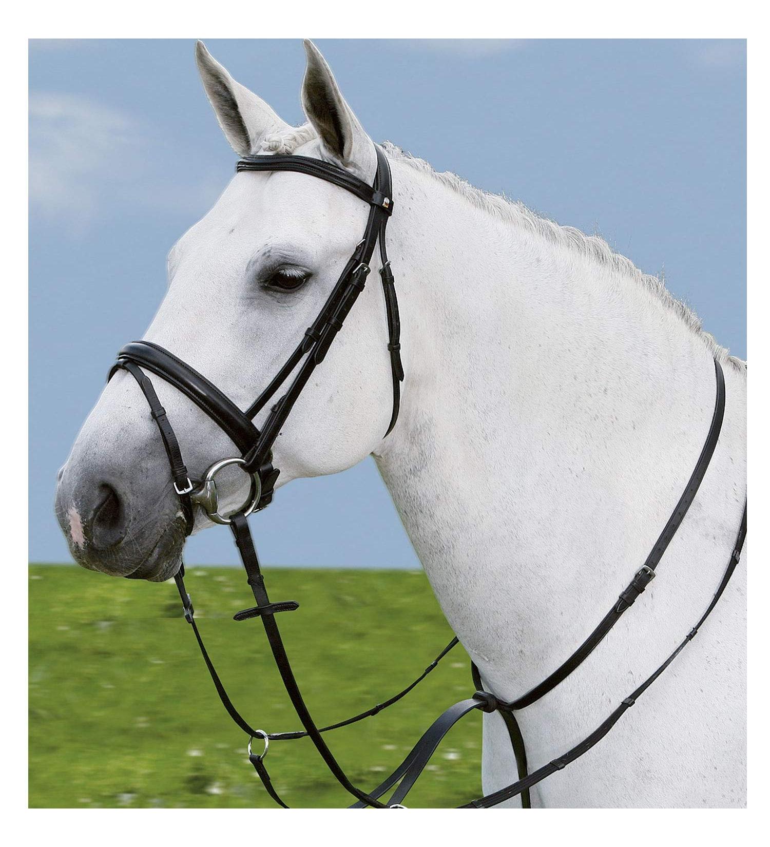 WALDHAUSEN Star Martingale black Warmblood