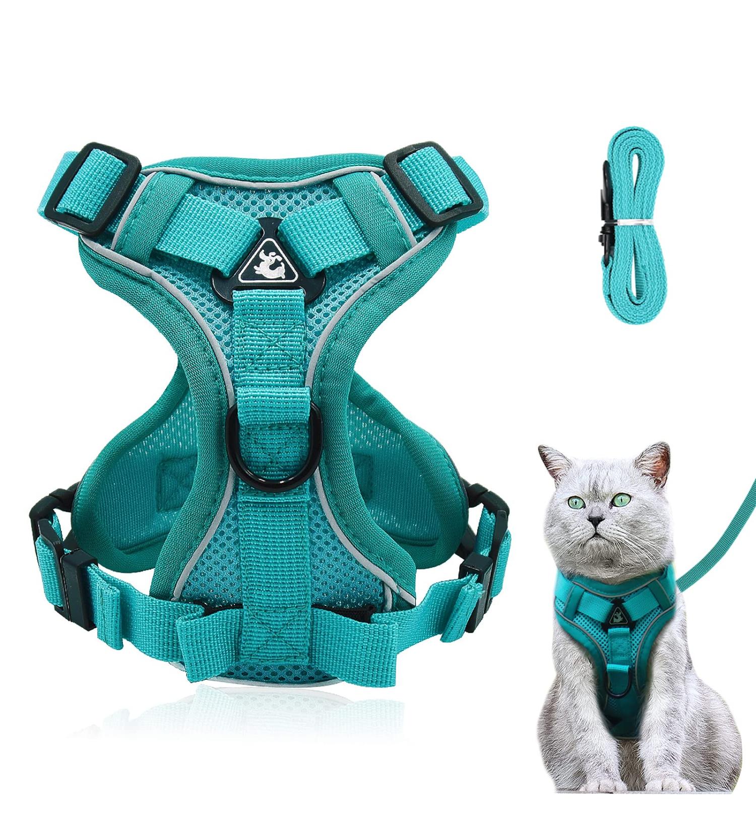 Adjustable Cat Dishes Set | Blue Lake - M | Perfect for Cats Kittens Dogs & Puppies | International Shipping - Buy Online on GoSupps.com