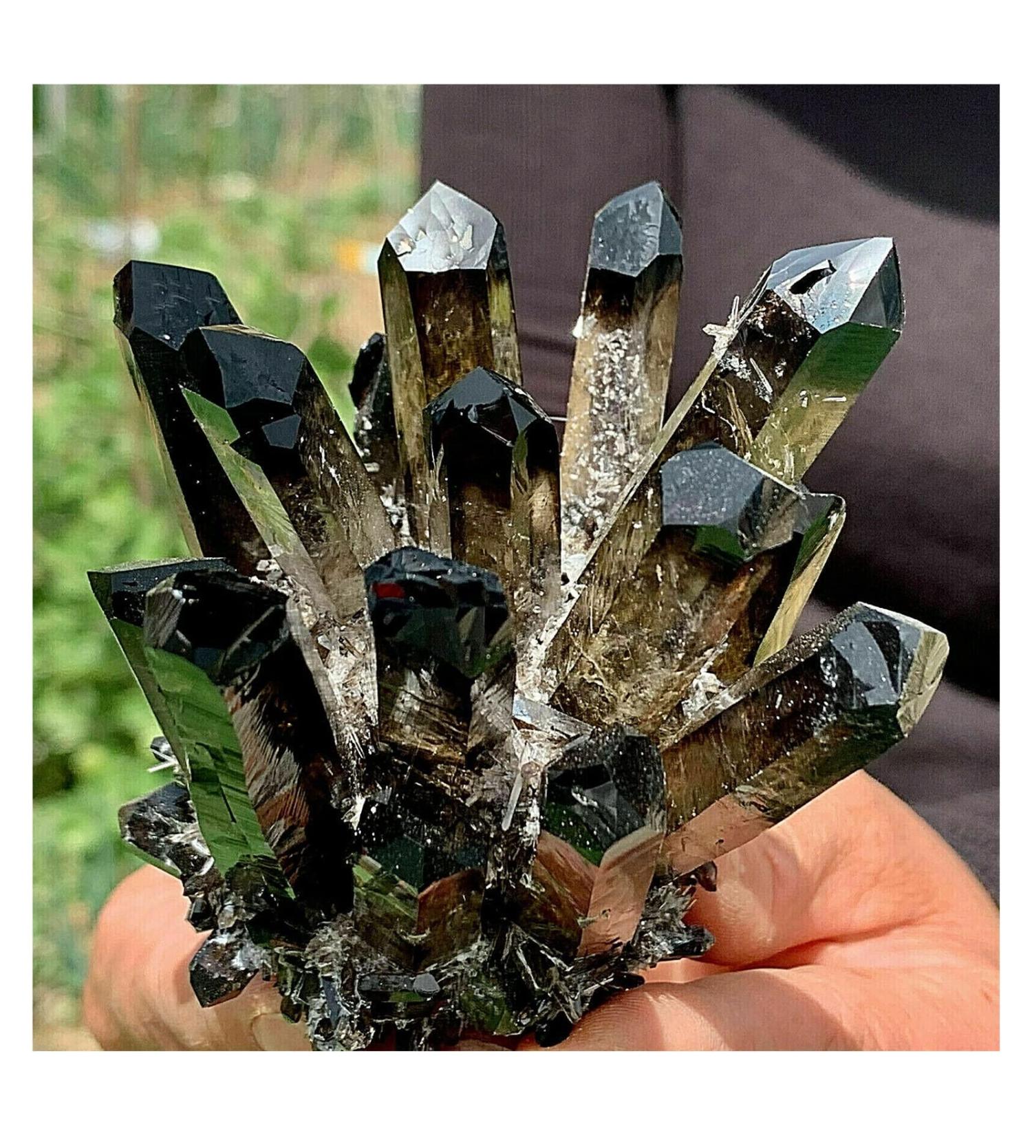 Natural Crystal Rough Crystals 1pc Black Phantom Quartz Crystal Cluster (Size : 200-250g) - Buy Online on GoSupps.com