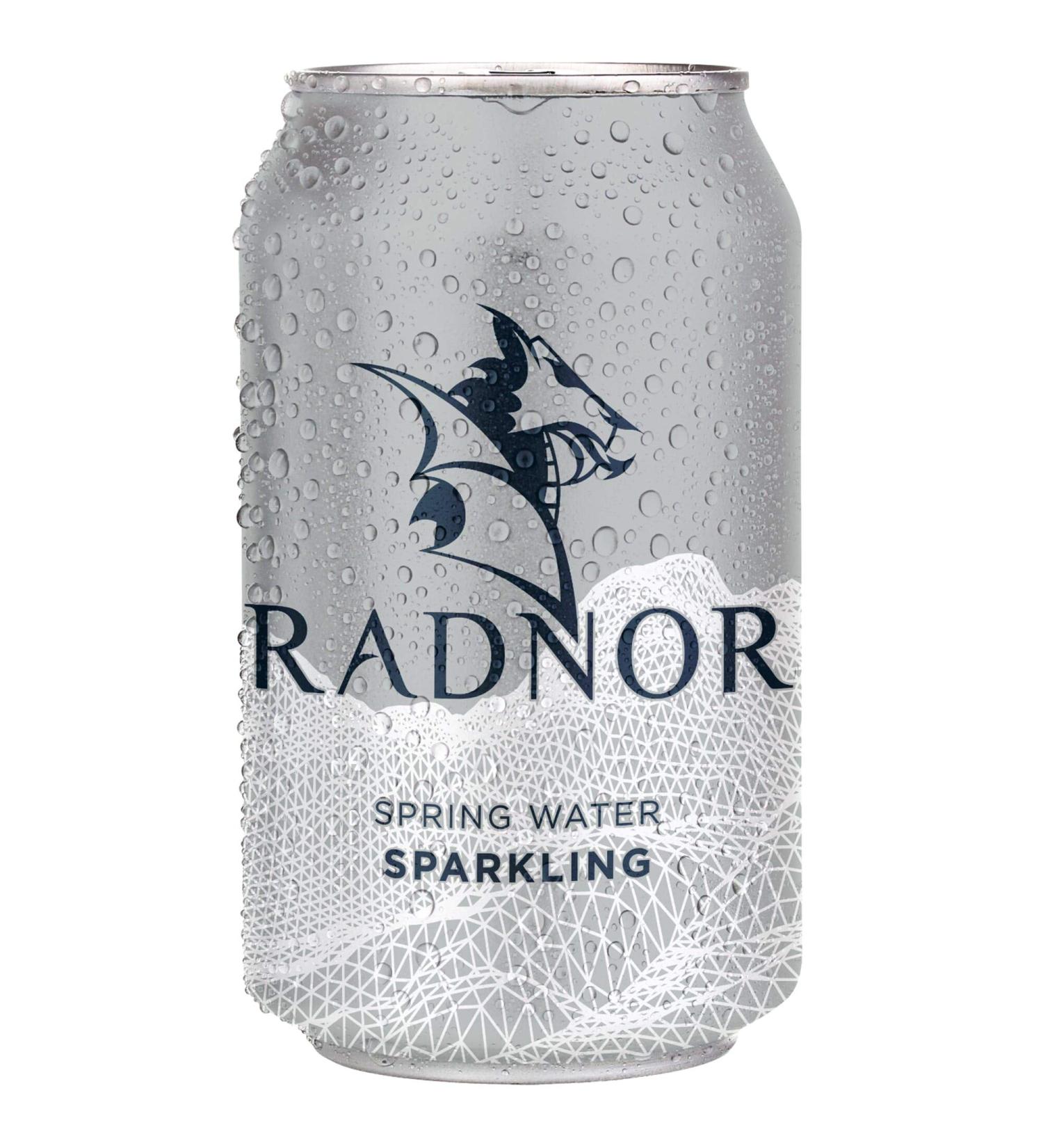 Radnor Hills Sparkling Spring Water Cans - 24x330ml