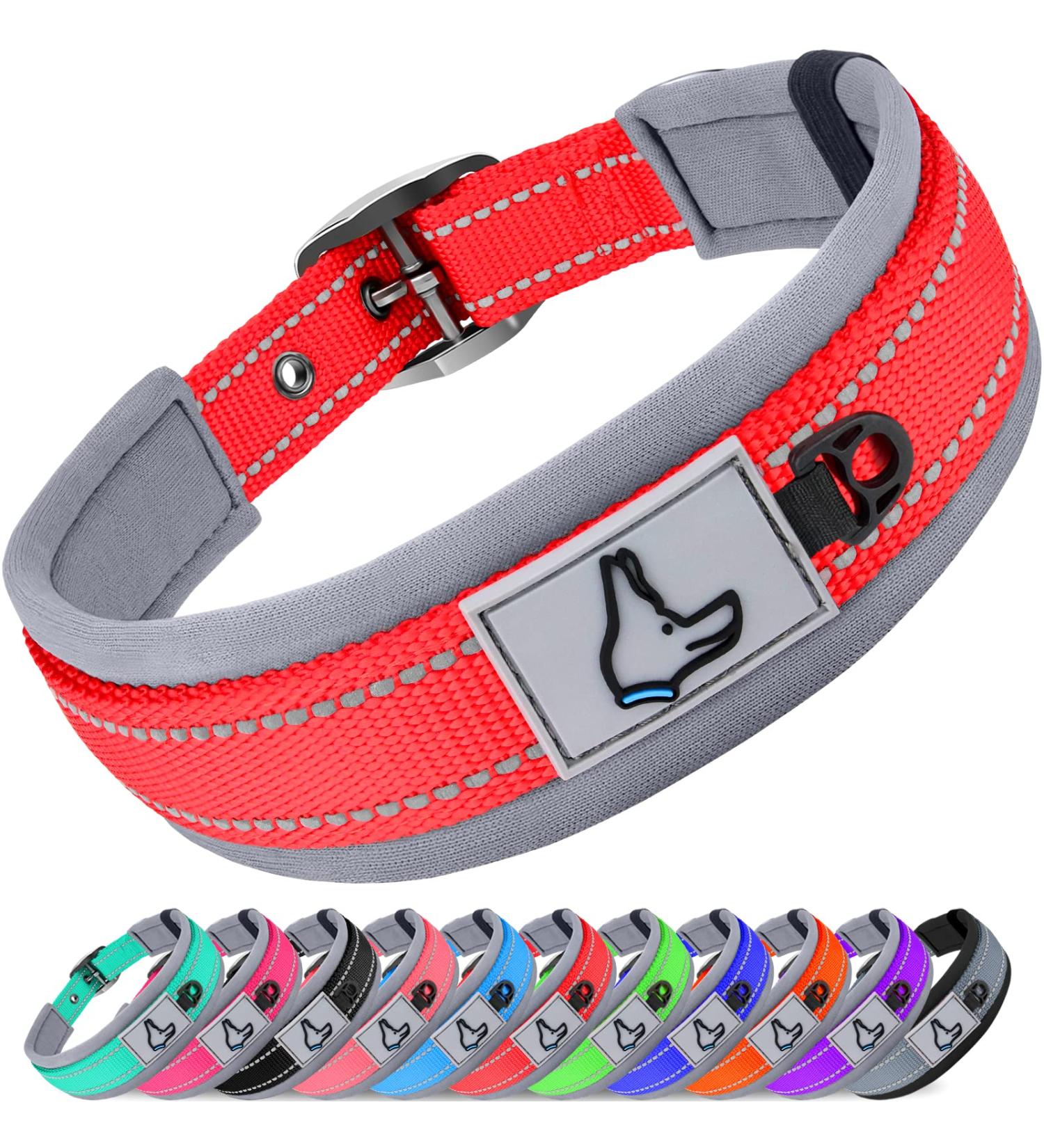 Joytale Neoprene Dog Collar for Medium Dogs | Softly Padded & Nylon Reflective | Red - 1 Pack - Buy Online on GoSupps.com
