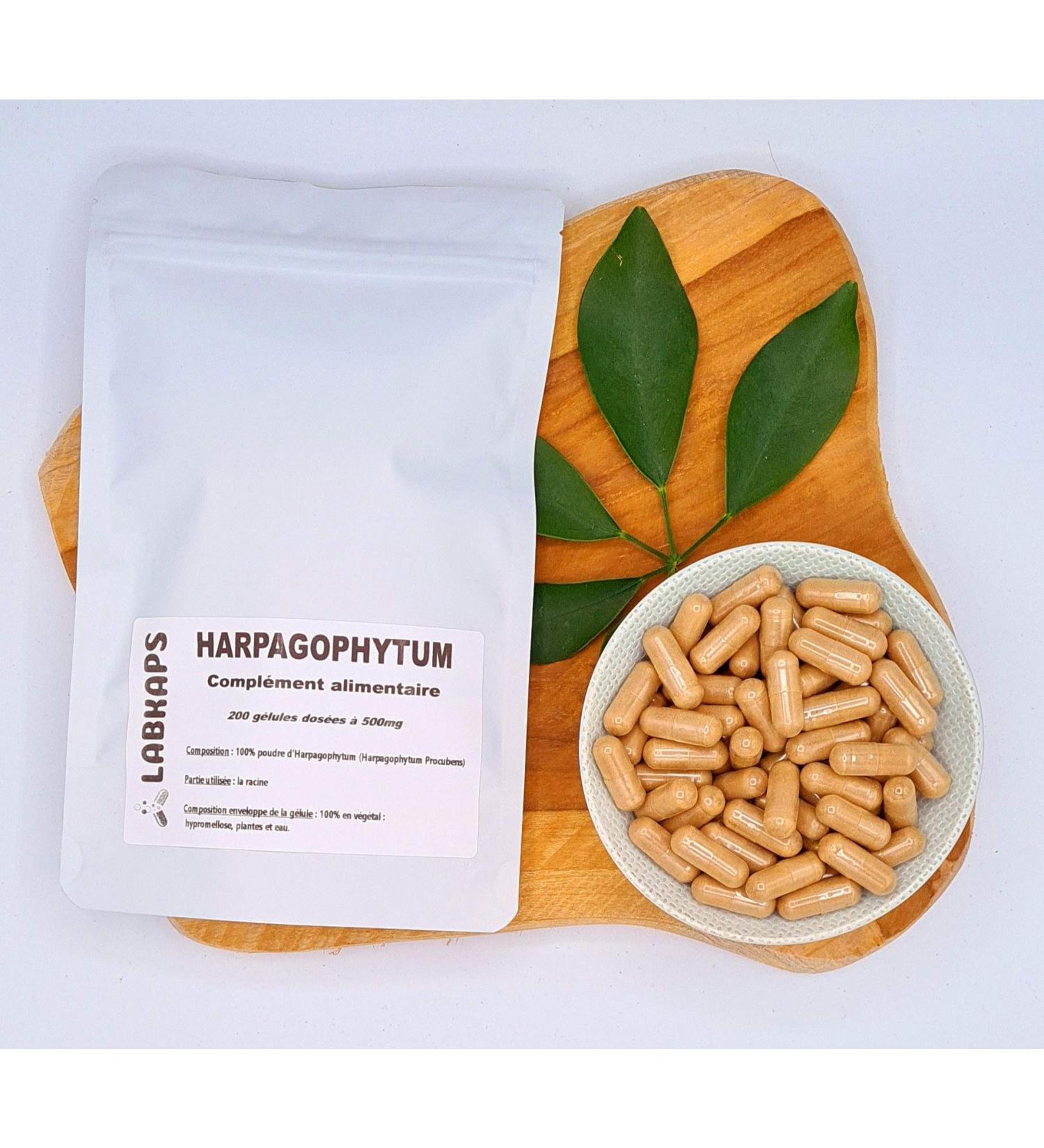 HARPAGOPHYTUM (DEIL'S RIFFE) 200 capsules with 500 mg capsule envelope 100% vegetable - food supplement