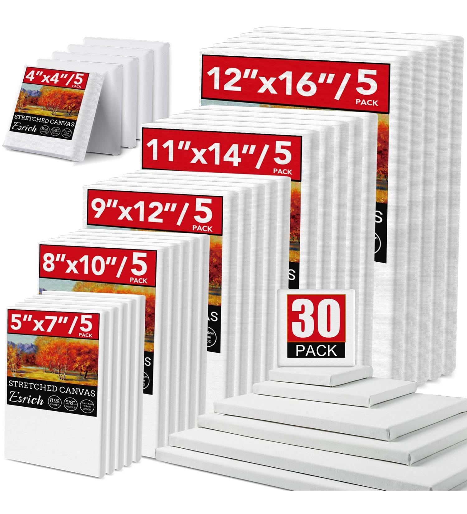 30 Pack Canvas for Oil & Acrylic Paint - 6 Sizes (5 of Each) - Ideal Painting Canvases Set - Buy Online on GoSupps.com