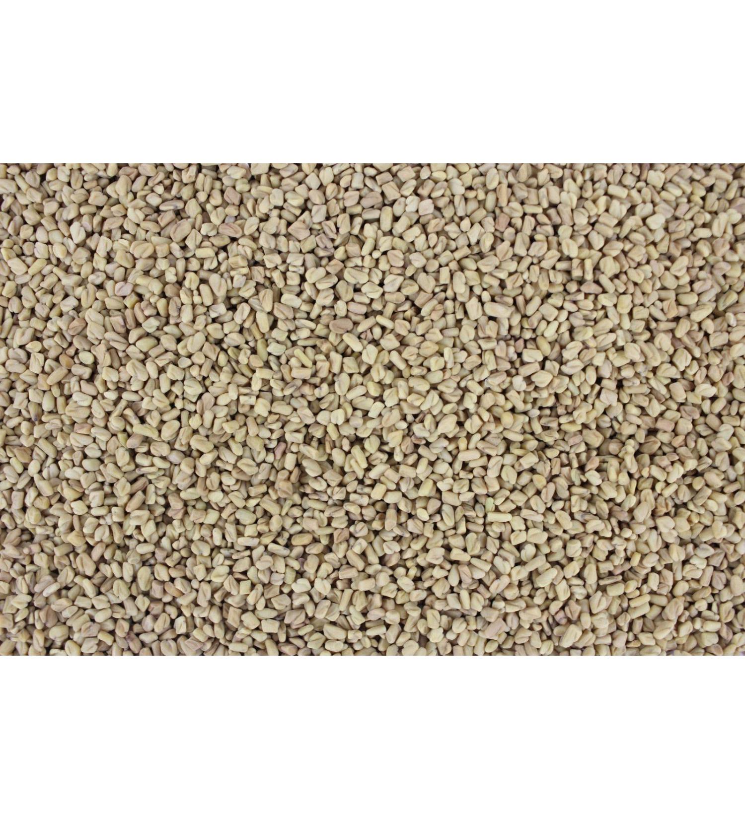 1000Kr uter 1000Kr uter Clover Seeds (100g)