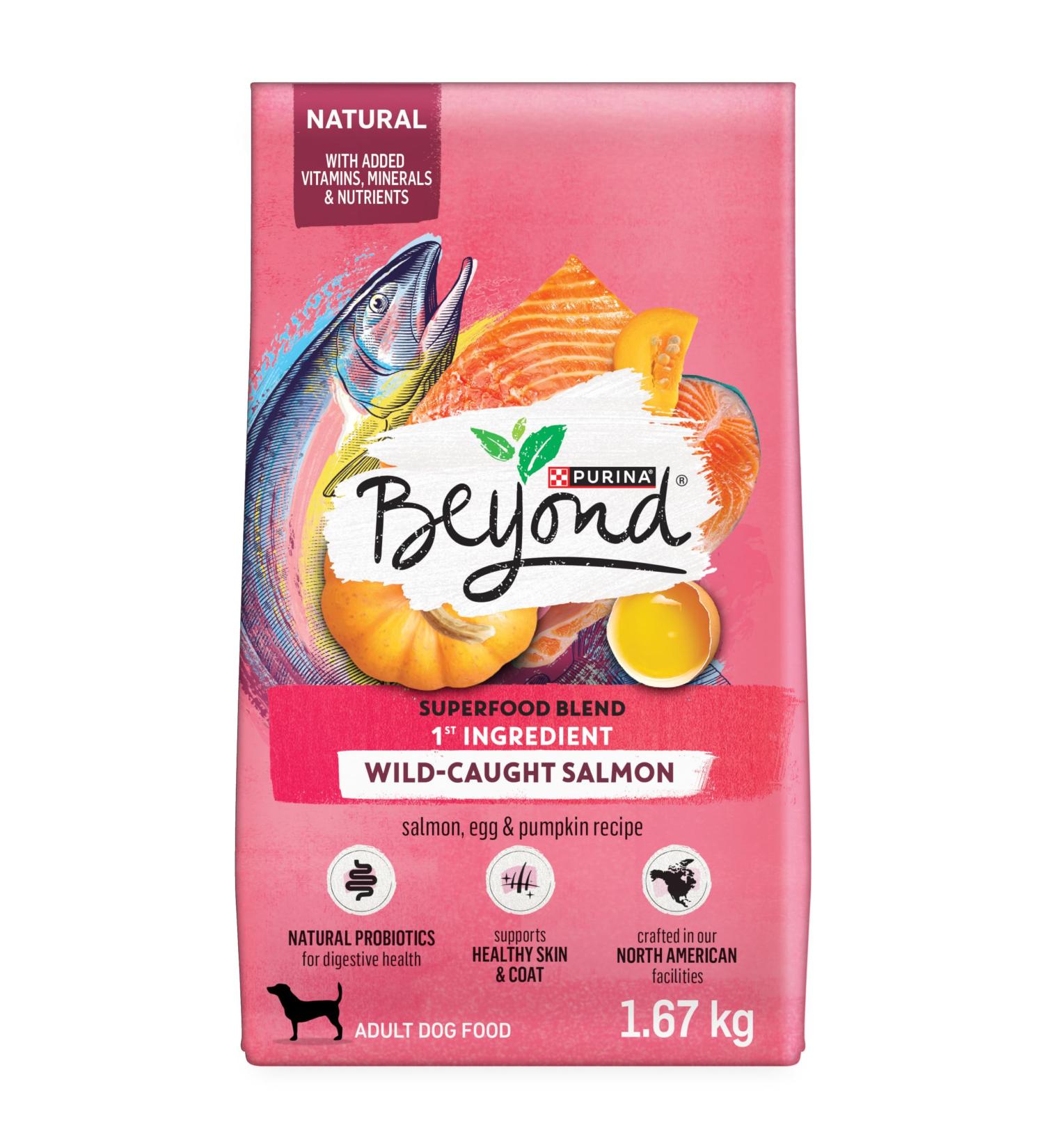 Beyond Superfood Blend Natural Dry Dog Food Wild Caught Salmon Egg & Pumpkin - 1.67 kg Bag 1.67 kg (Pack of 1) Dog Food - Buy Online on GoSupps.com