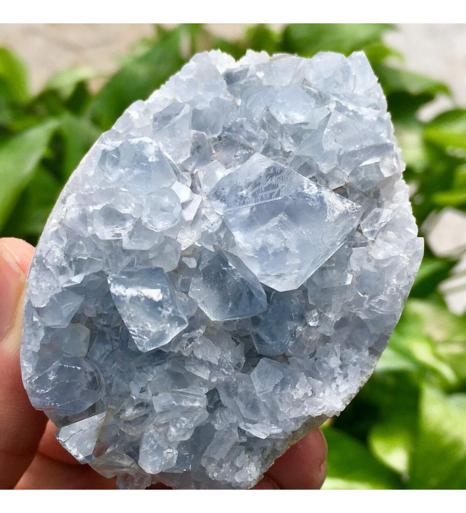 Natural Blue Celestite Crystal Cluster Specimen for Decoration Wedding Decoration Aquarium s Reiki Crystal Stone - Buy Online on GoSupps.com