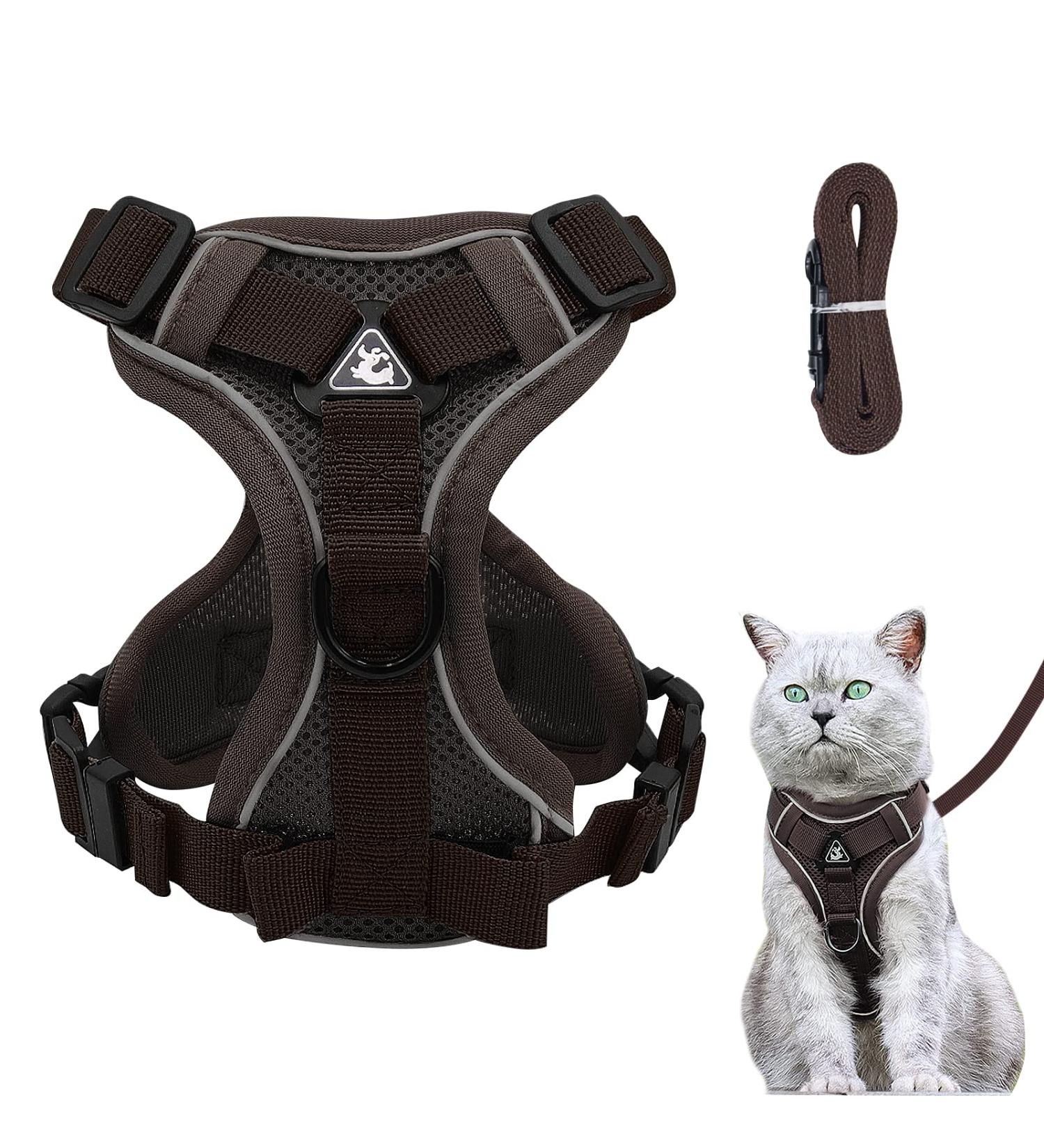 Adjustable Cat Dishes & Line Set | High-Quality Cat Bowls for Kittens Dogs & Puppies - Brown (Large) - Buy Online on GoSupps.com