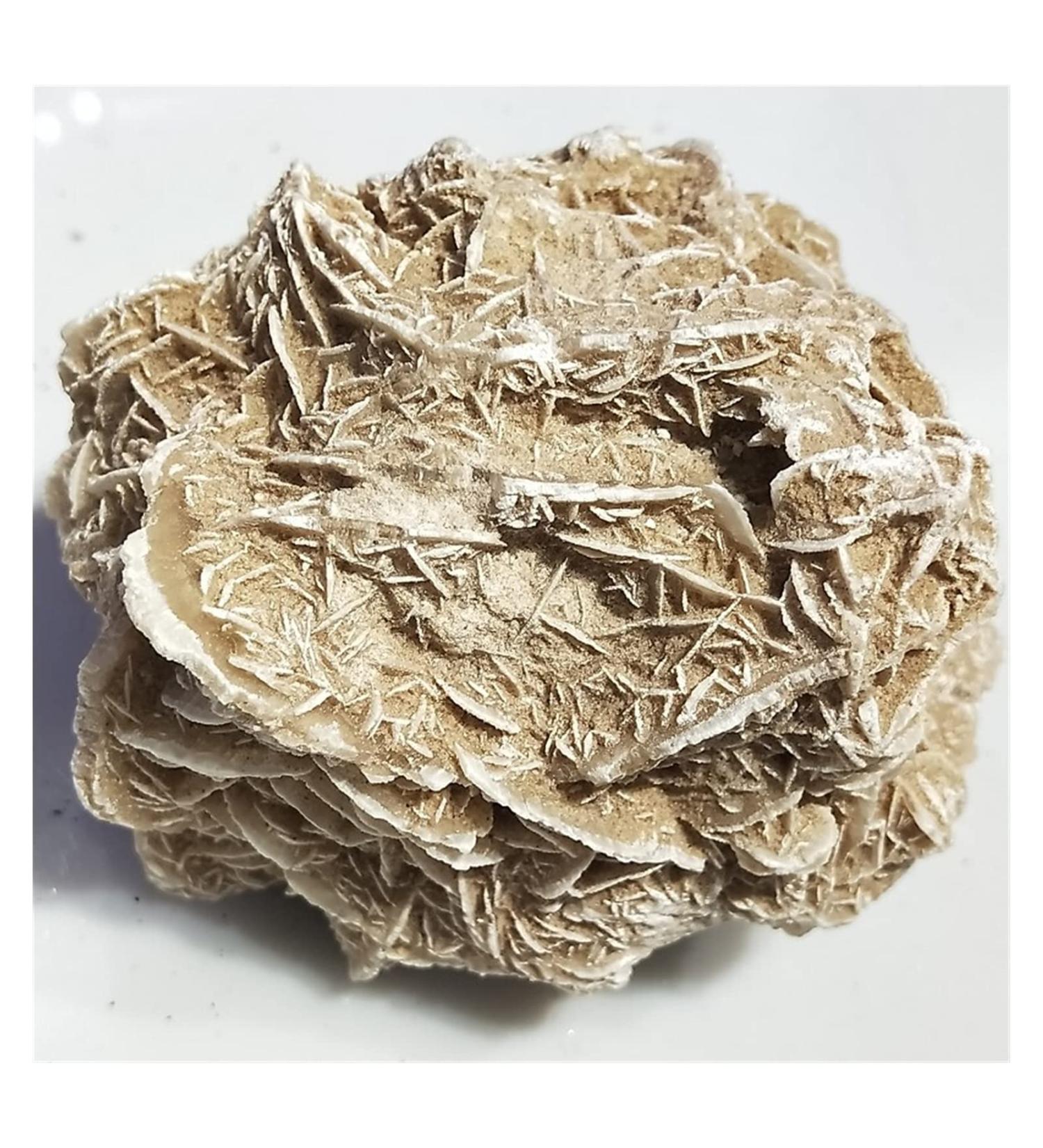 300-600g Natural Desert Rose Stones SeleniteReiki ra Crystal Specimen Rough Sample Cluster fengshui Home Decor ZJGIDTEM (Color : About 300g) - Buy Online on GoSupps.com