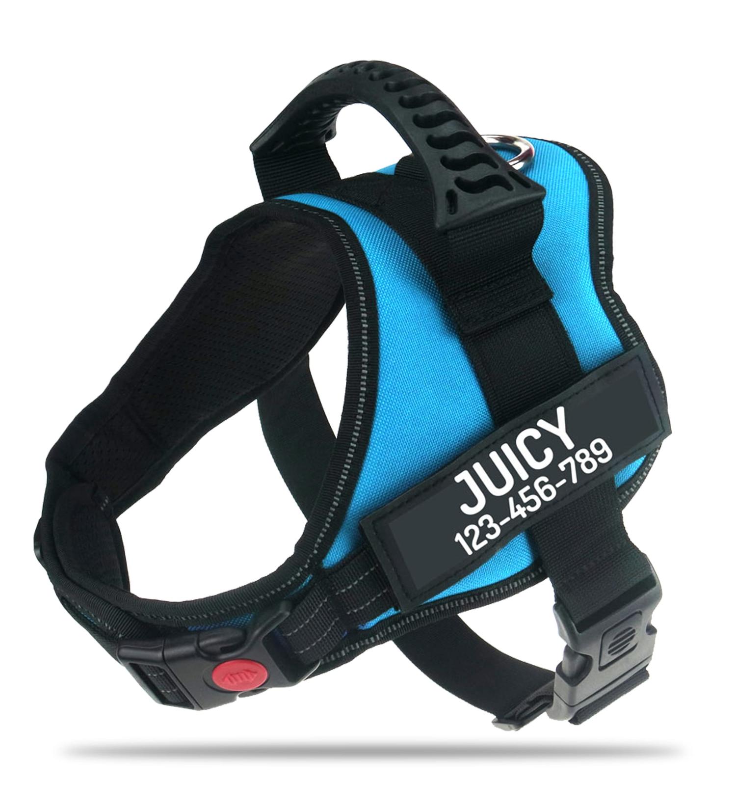 Pawpawify Sky Blue Dog Harness - No Pull Personalized Name & Phone Durable Vest for Training & Walking (Chest 24-31in) - Buy Online on GoSupps.com