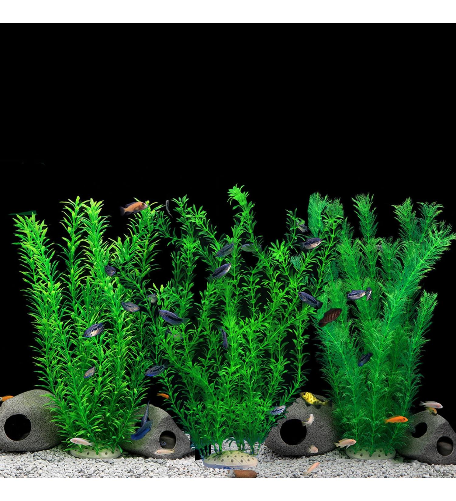 Ctpeng XXL Aquarium Decorations - Set of 3 Plastic Plants for Fish Tanks | 55cm 10cm 8cm - Buy Online on GoSupps.com