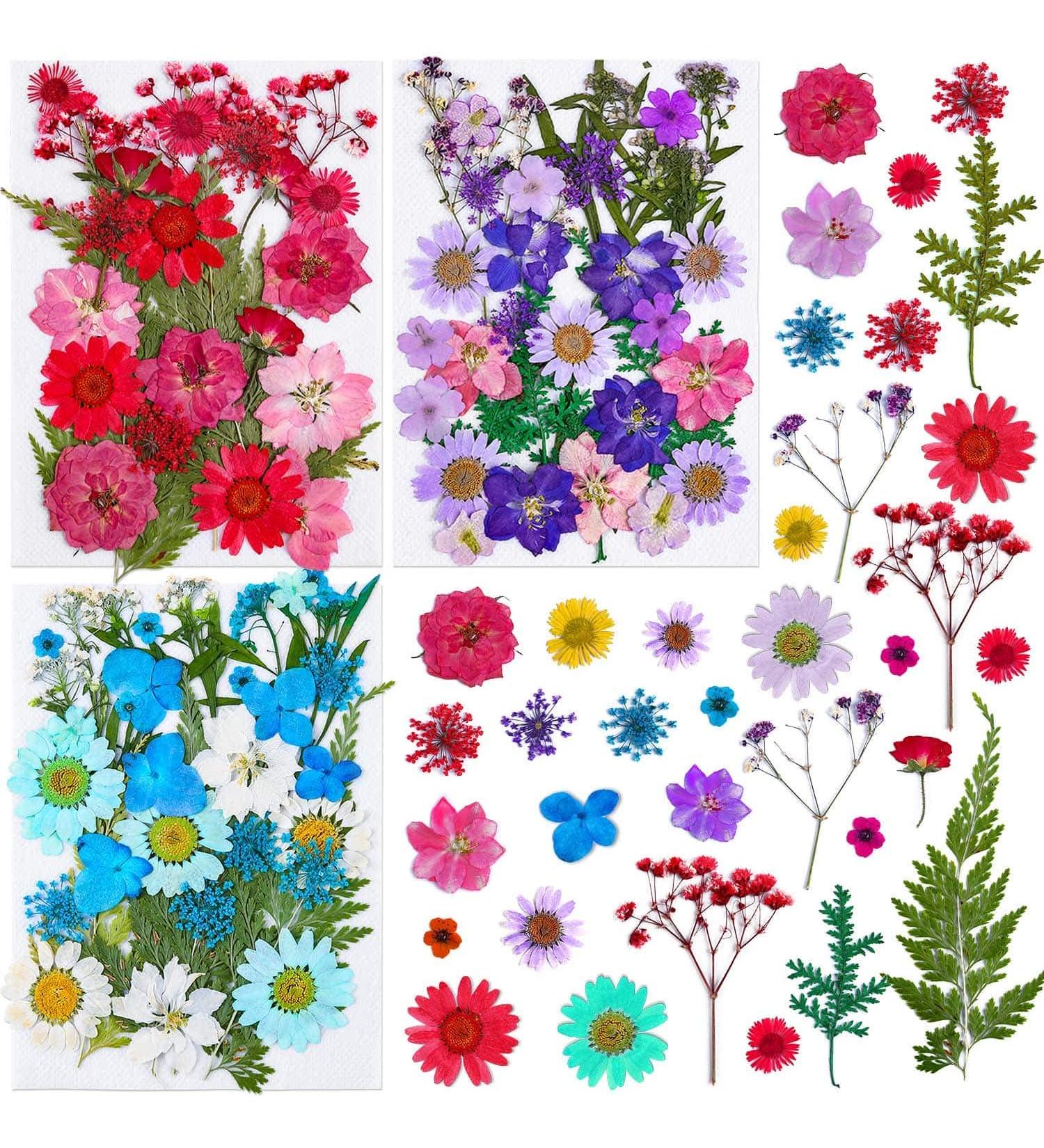 Thrilez 100Pcs Pressed Dried Flowers for Resin Molds - Natural Flower Herbs Kit for Scrapbooking, Card Making, Resin Jewelry, Soap & Candle Making (Blue Purple Red) - Buy Online on GoSupps.com