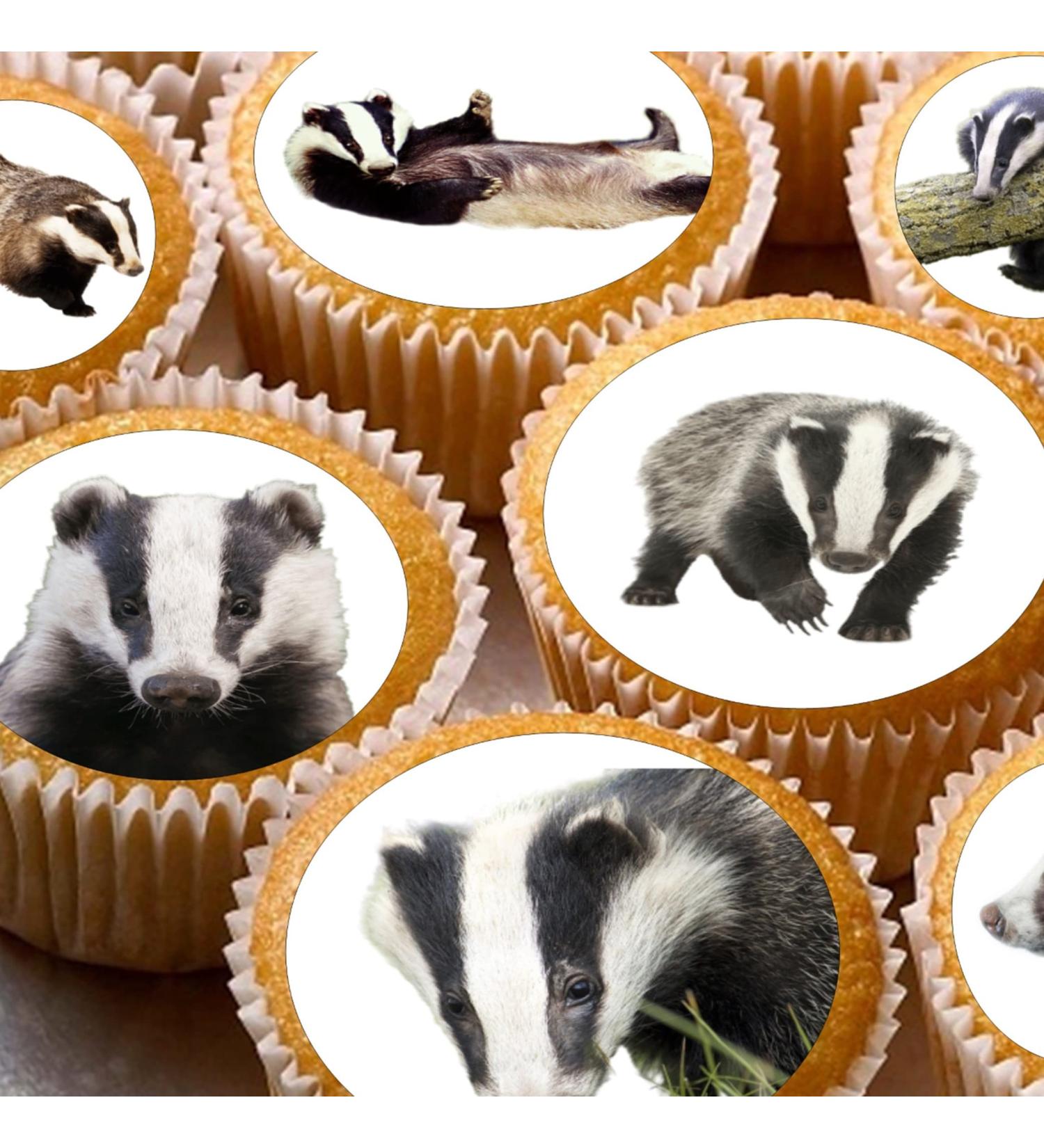 24 edible Badgers Badger British Wildlife kids childrens party decorations Iced/Icing Cupcake Topper Edible Fairy Cake Bun Toppers Round - Buy Online on GoSupps.com