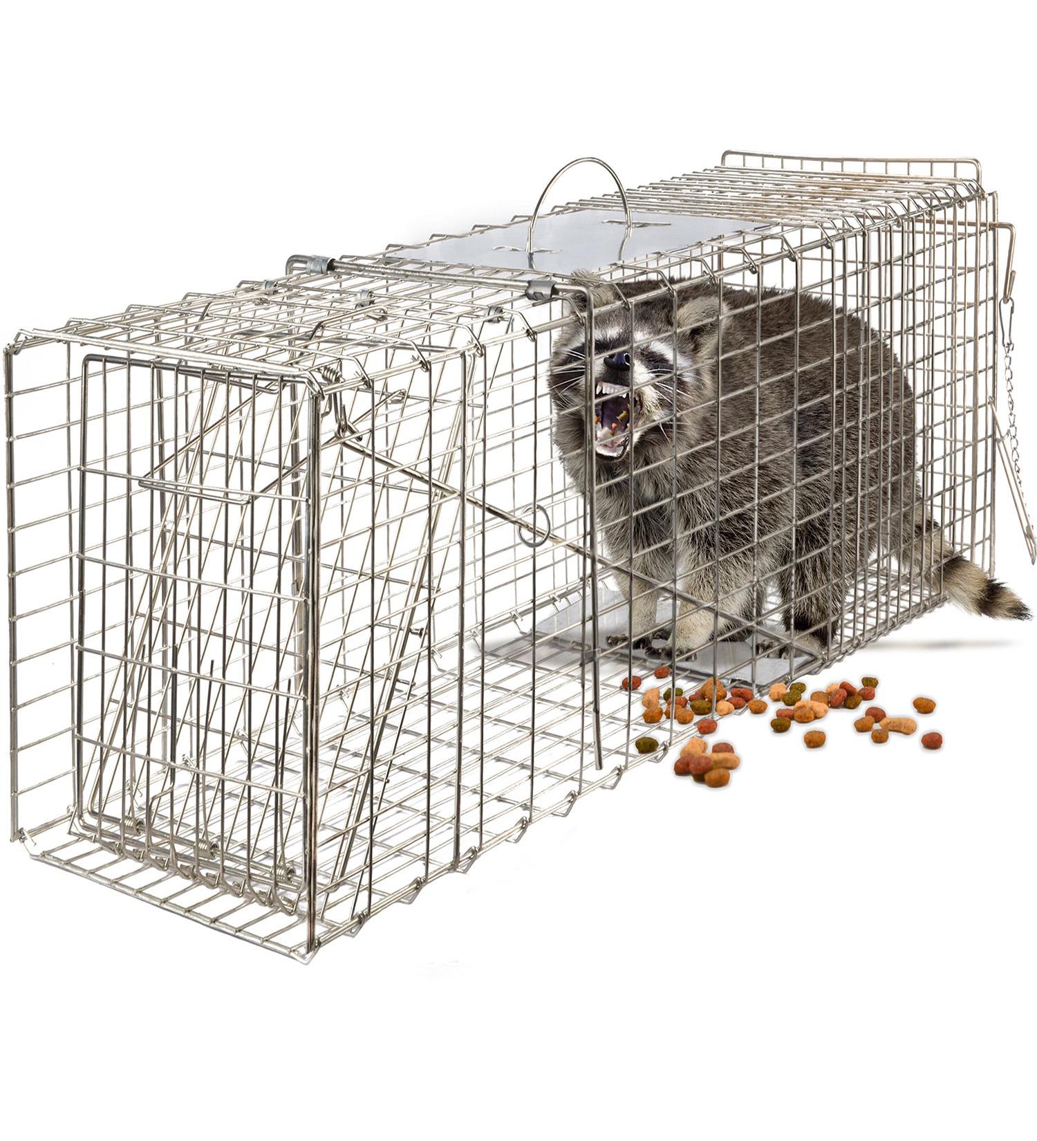 OxGord Live Animal Trap - Humane 2-Door 32 Cage for Raccoon, Opossum, Cat, Rabbit & Rodents - Buy Online on GoSupps.com