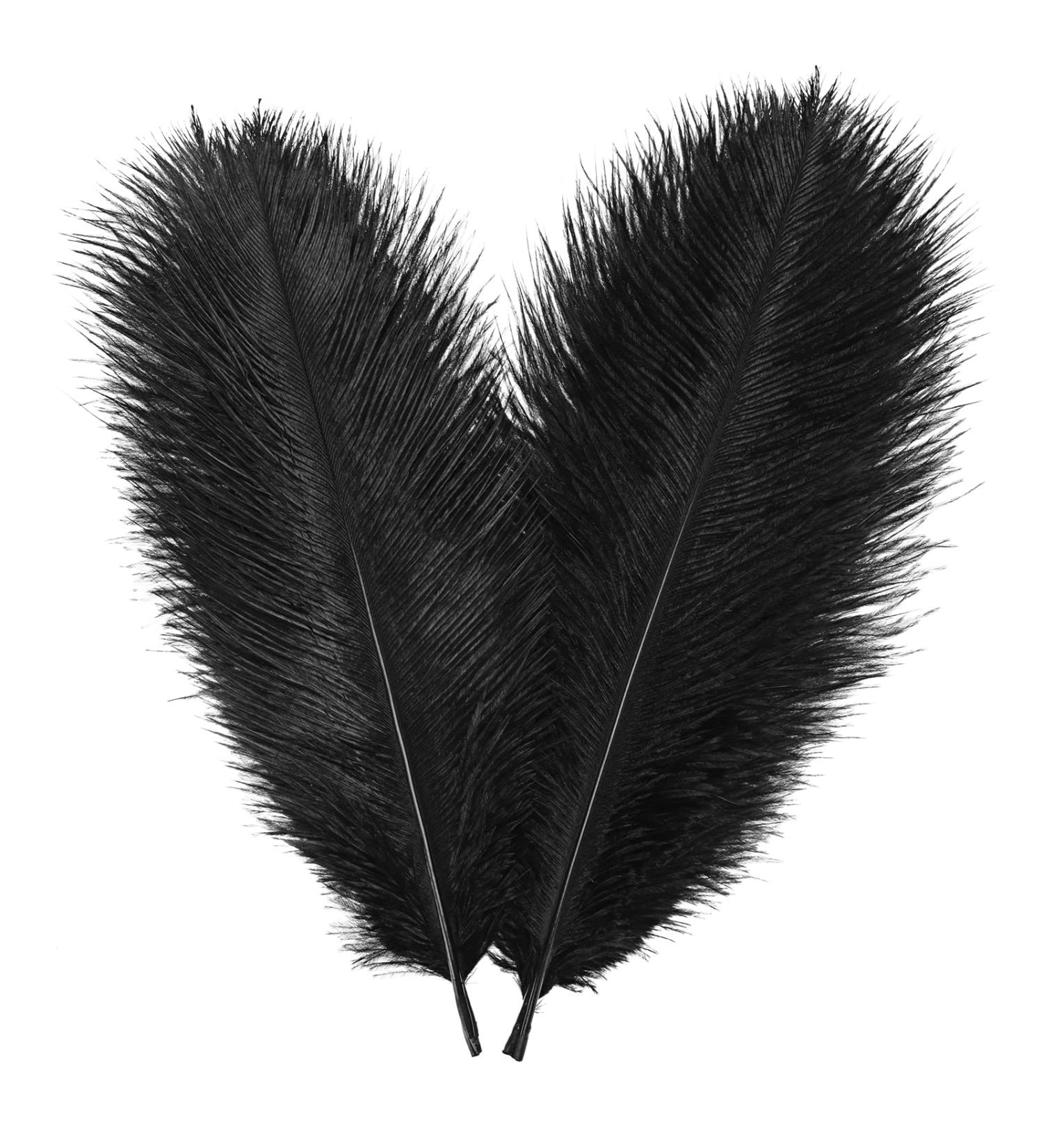 30pcs Black Ostrich Feathers 10-12 Inch - Ideal for Crafts & Decorations - Buy Online on GoSupps.com