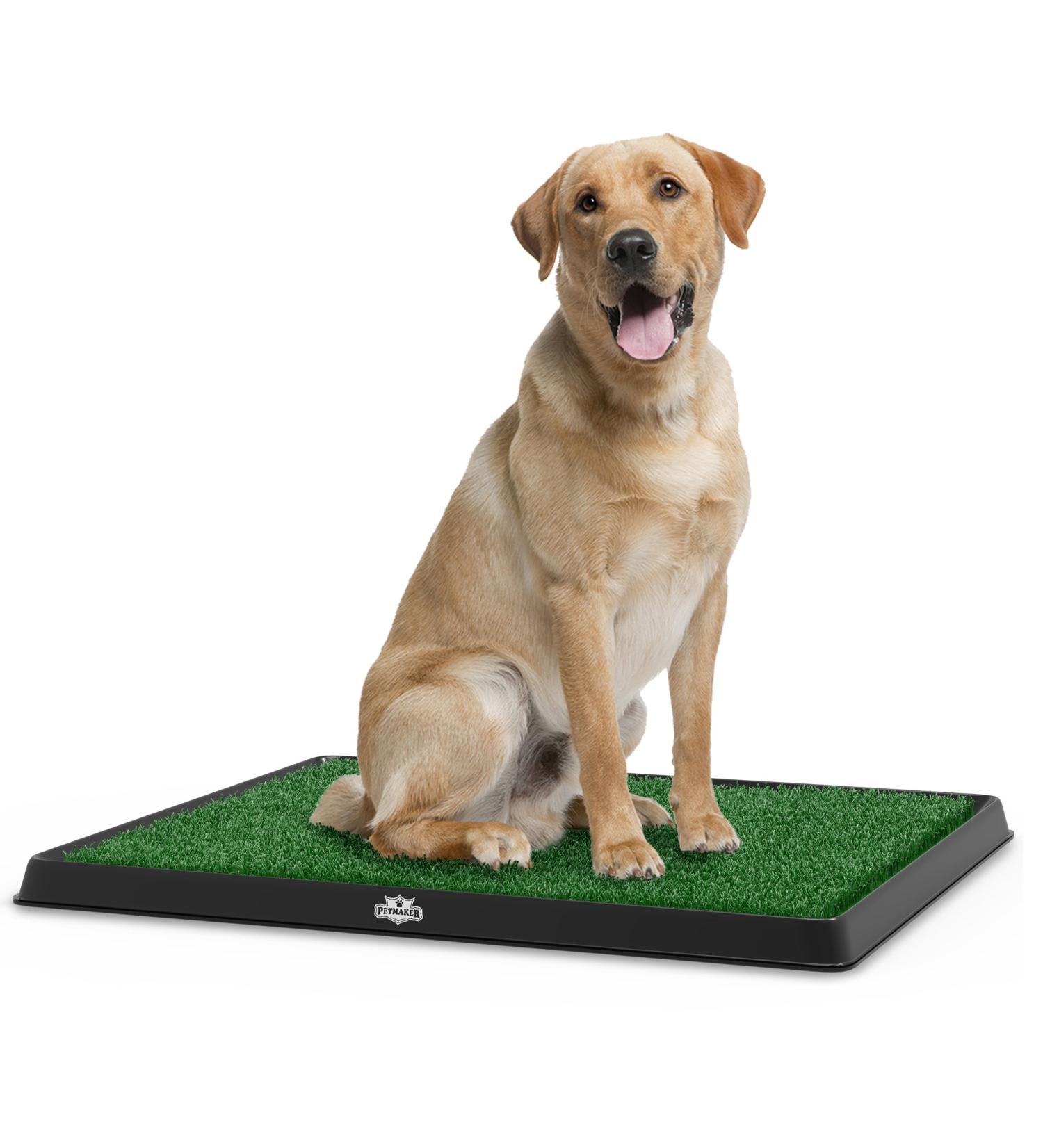 Petmaker Artificial Grass Puppy Pad with Tray - Medium Size 3-Layer System for Dog Training and Housebreaking - Buy Online on GoSupps.com