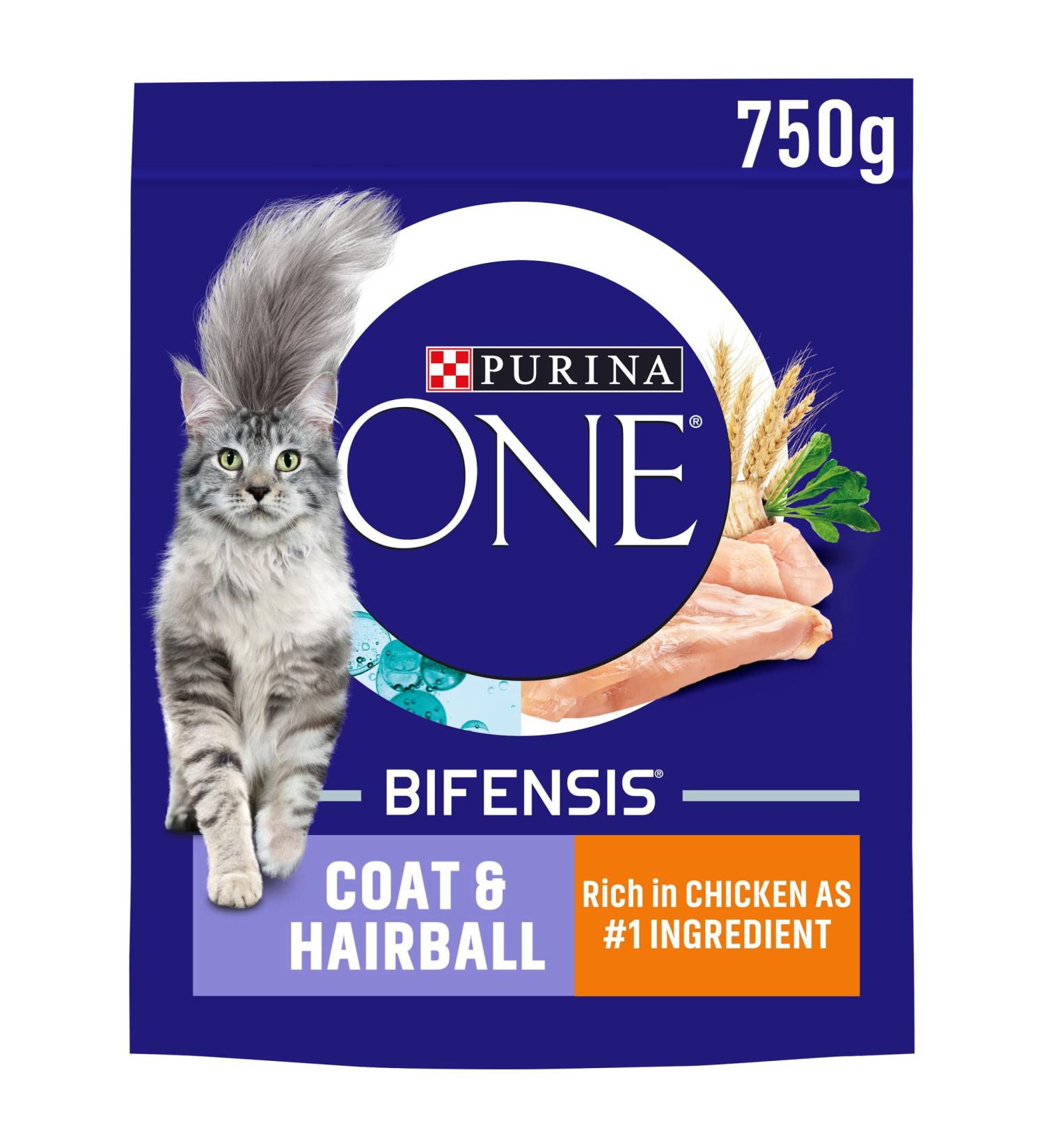 Purina ONE Adult Dry Cat Food Coat & Hairball Rich in Chicken 750g Pack of 4 Chicken 750 g (Pack of 4) - Buy Online on GoSupps.com