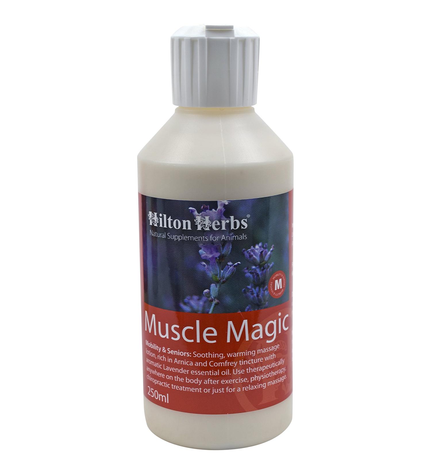 Hilton Herbs Muscle Magic Soothing Massage Lotion 250ml Bottle
