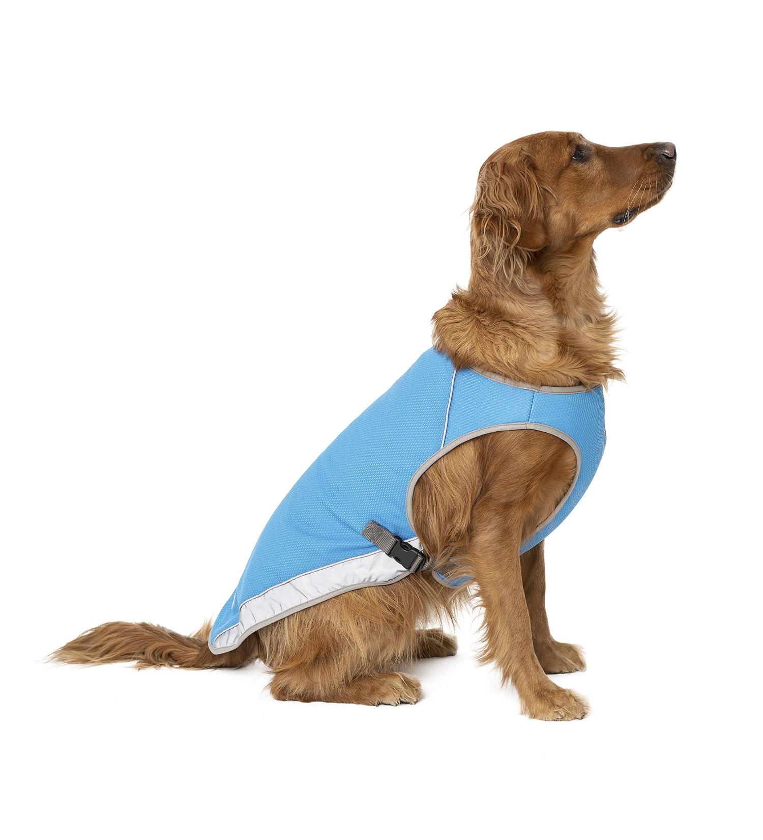 Canada Pooch Dog Cooling Vest - Breathable Mesh, Reflective Lining, Adjustable - Aqua, 18 (17-19) - Evaporative Cooling for Dogs - Buy Online on GoSupps.com