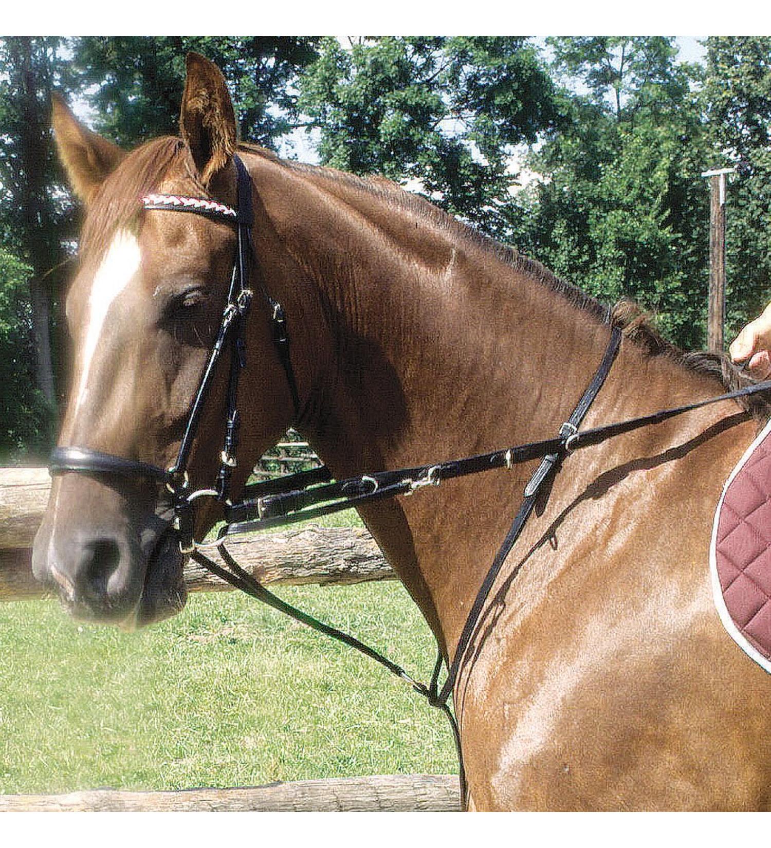 AMKA Thiedemann Combination Auxiliary Reins - Adjustable Black Warmblood Reins for Enhanced Control | Buy Now - Buy Online on GoSupps.com