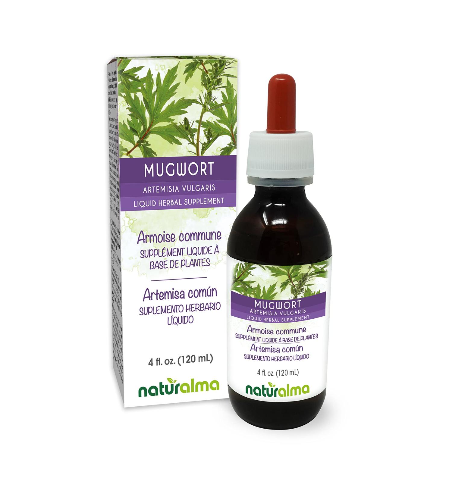 Naturalma Mugwort (Artemisia vulgaris) herb with Flowers Alcohol-Free Tincture - 4 fl oz Liquid Extract in Drops - Herbal Supplement - Vegan Alcohol-free 4 Fl Oz (Pack of 1) - Buy Online on GoSupps.com