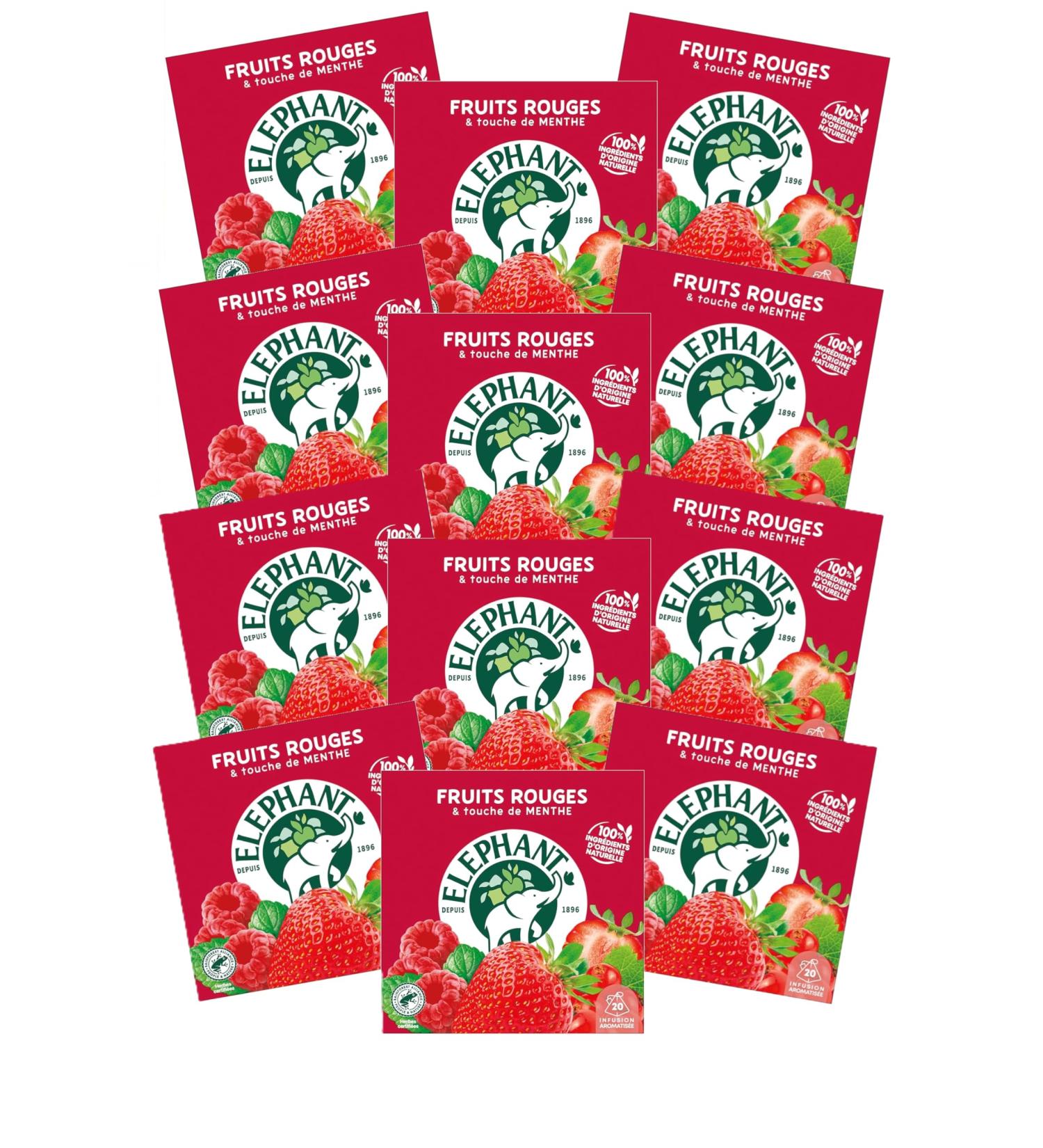 Elephant Infusion Aromatis e Go t Fruits Rouges & Touche de Menthe Certifi Rainforest Alliance Ingr dients d'Origine 100% Naturelle 240 Sachets Pyramid - Buy Online on GoSupps.com