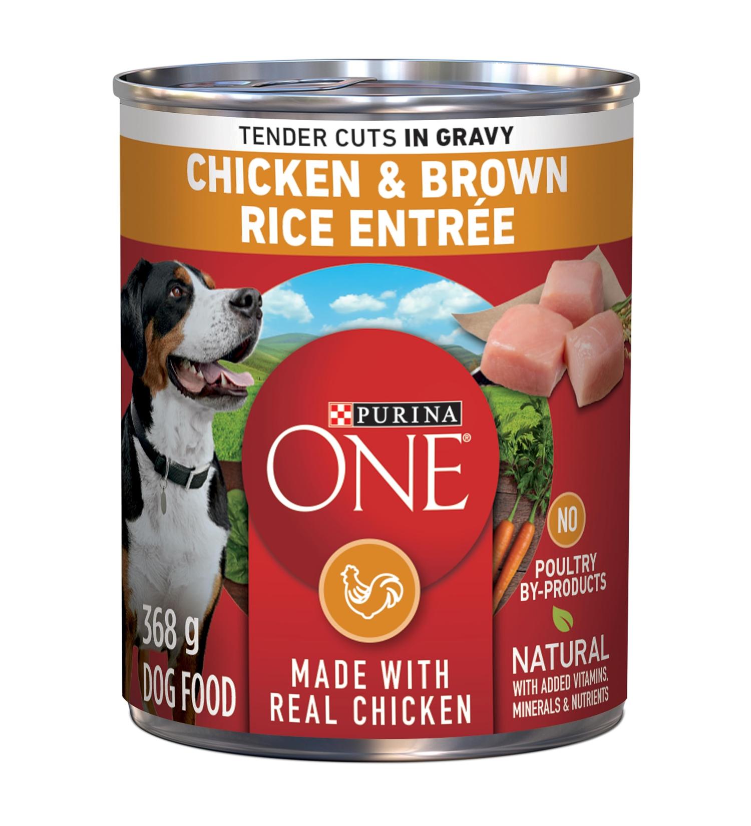 Purina ONE Tender Cuts Wet Dog Food in Gravy Chicken & Brown Rice Entree 2 Flavours - 368 g Can (12 Pack) Wet Dog Food Chicken & Brown Rice in Gravy 4.42 kg (Pack of 1) - Buy Online on GoSupps.com