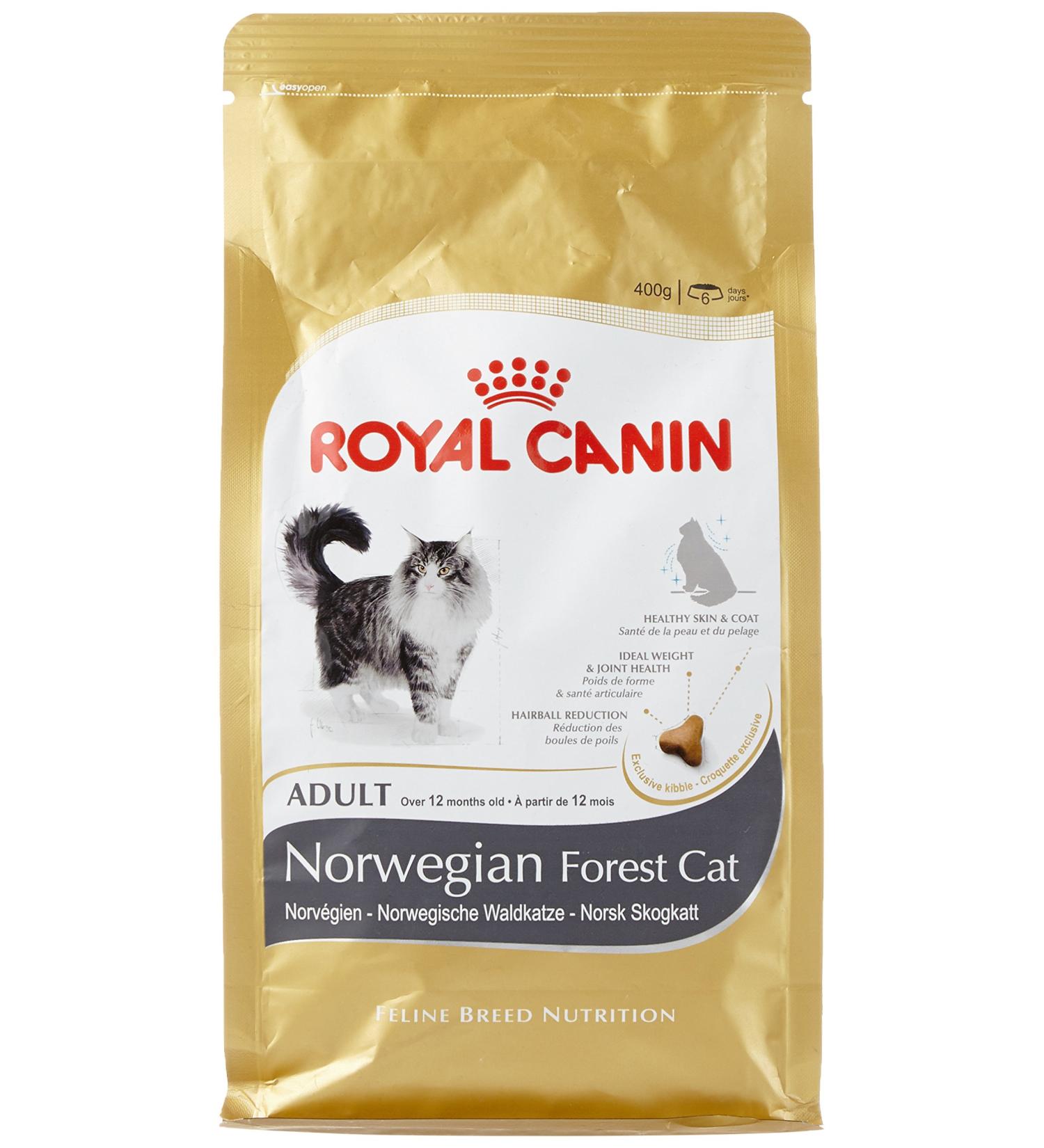 Royal Canin Norwegian Fc Cat Food 2x400 g - Buy Online on GoSupps.com
