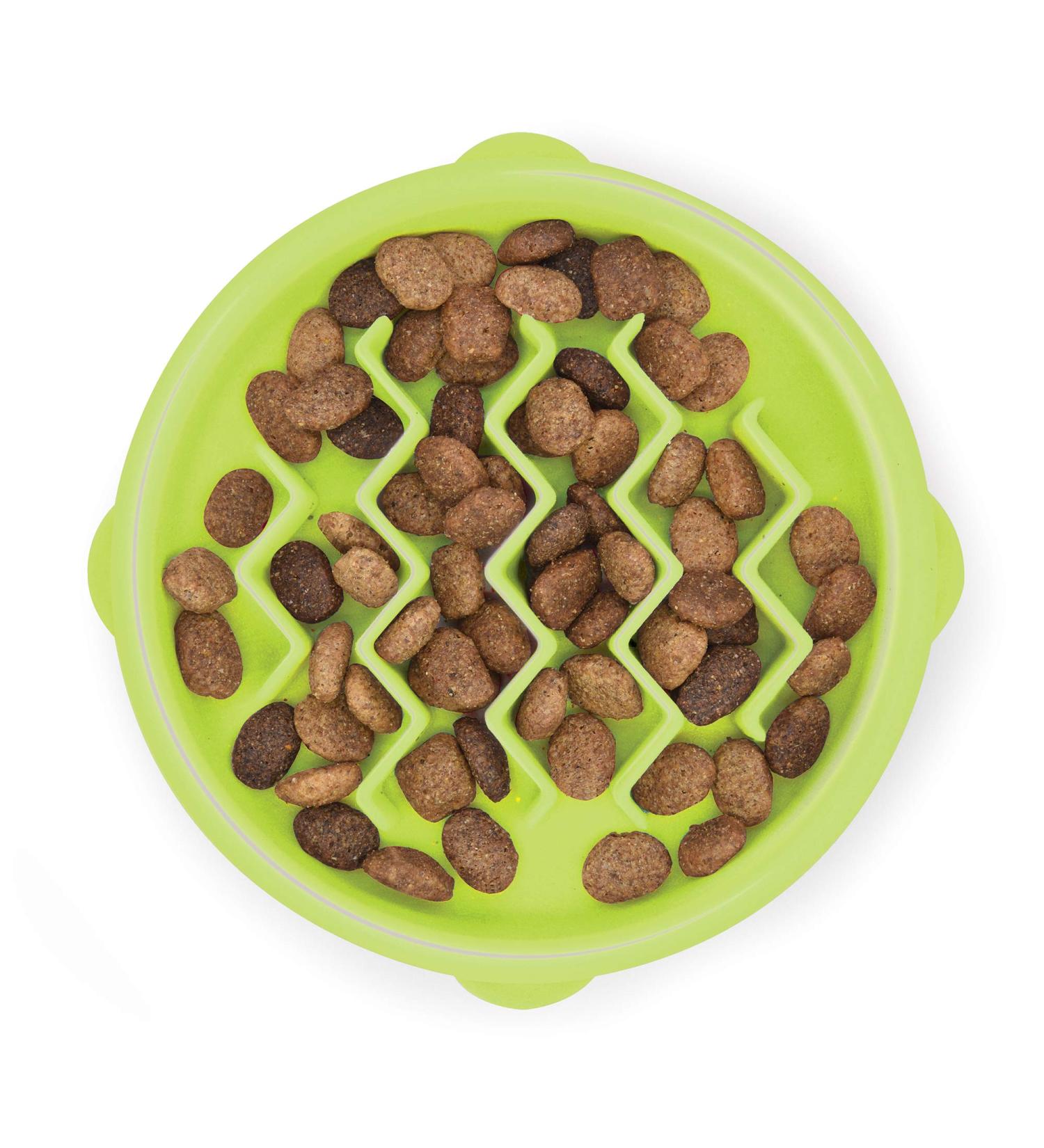 Petstages Kitty Slow Feeder Cat Bowl - Green | Slow Down Eating Habits for Healthy Cats - Buy Online on GoSupps.com