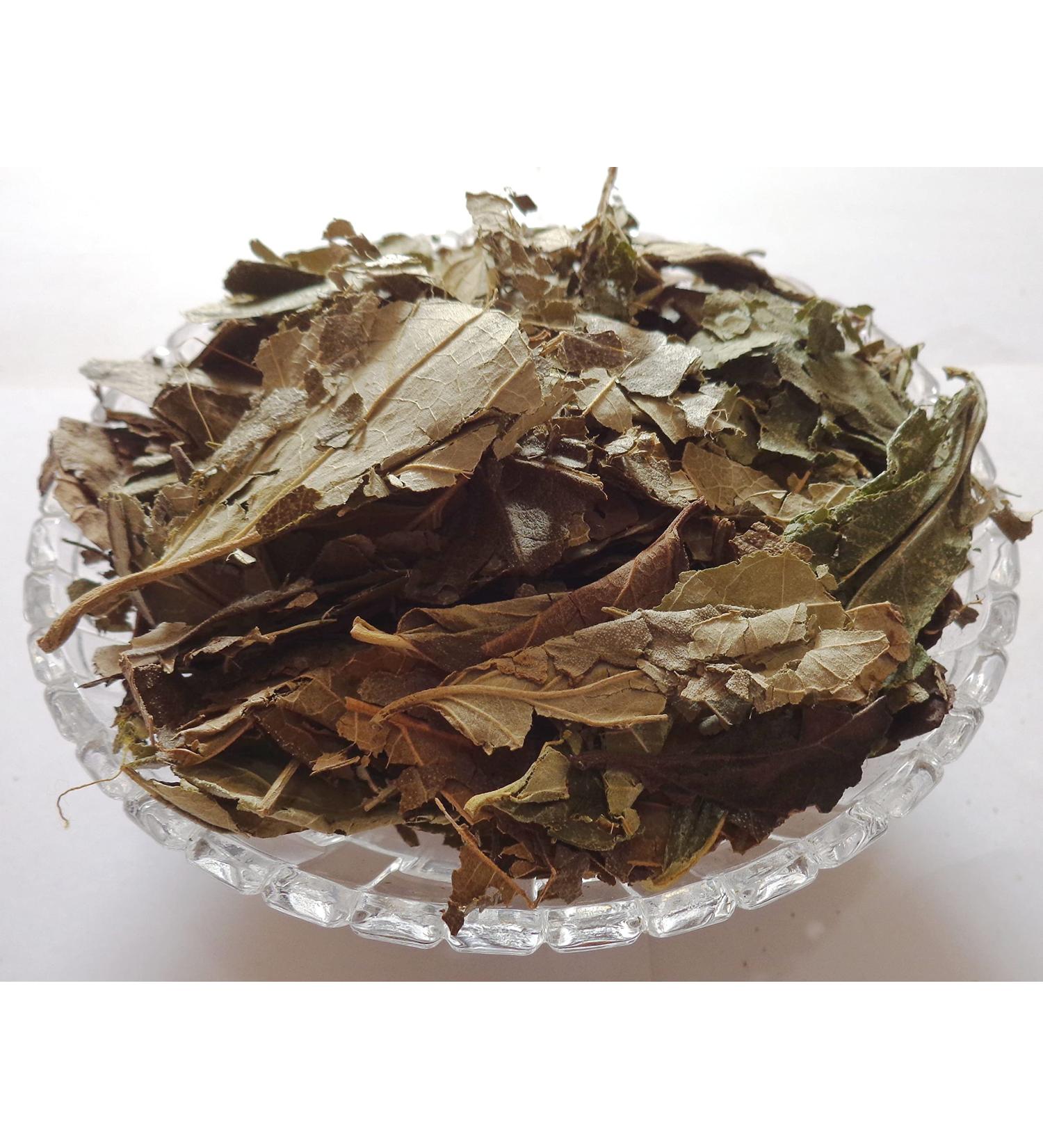 RAW HERB/JADI BOOTI HARSHRINGAR PATTA PAARIJAAT LEAF PARIJAT LEAVES HARSHINGAR PATTA NYCTANTHES ARBOR-TRISTIS (250gm) - Buy Online on GoSupps.com