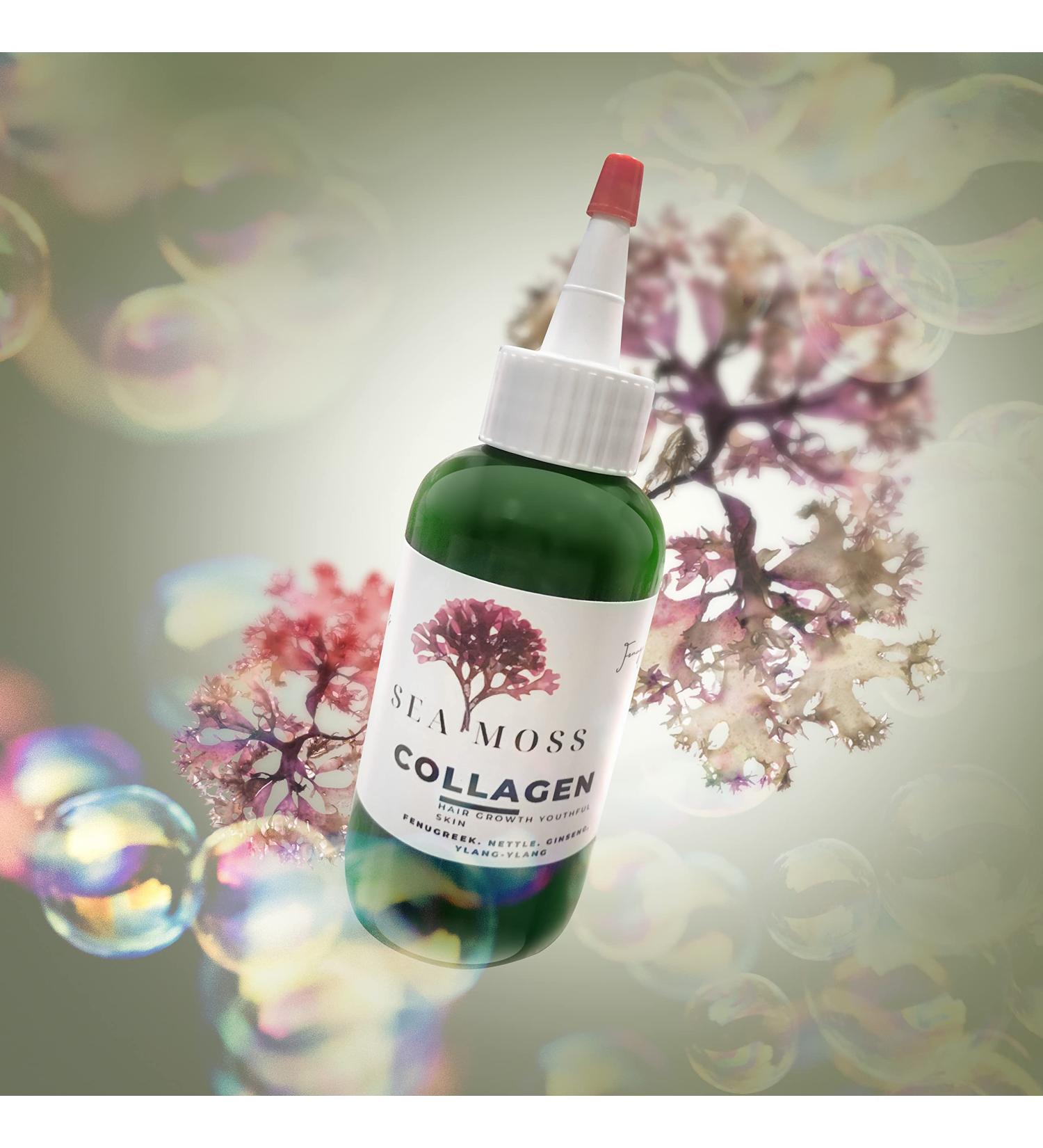 Sea Moss Collagen Hair & Skin Oil | Fenugreek Rosemary Nettle Ginseng Ylang for Hair Growth & Youthful Skin - Buy Internationally - Buy Online on GoSupps.com