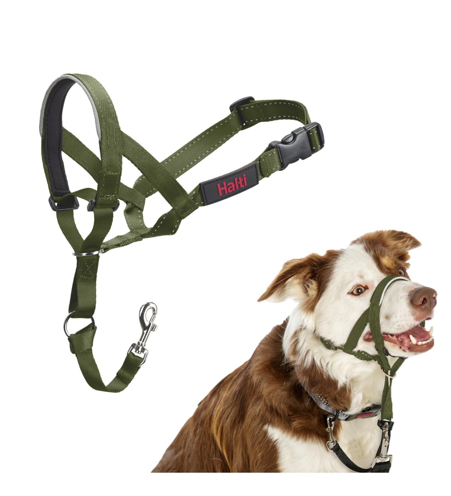 Halti Head Harness for Medium Dogs - Prevent Pulling Lightweight & Padded Nose Strap - Size 2 Forest Green - Buy Online on GoSupps.com