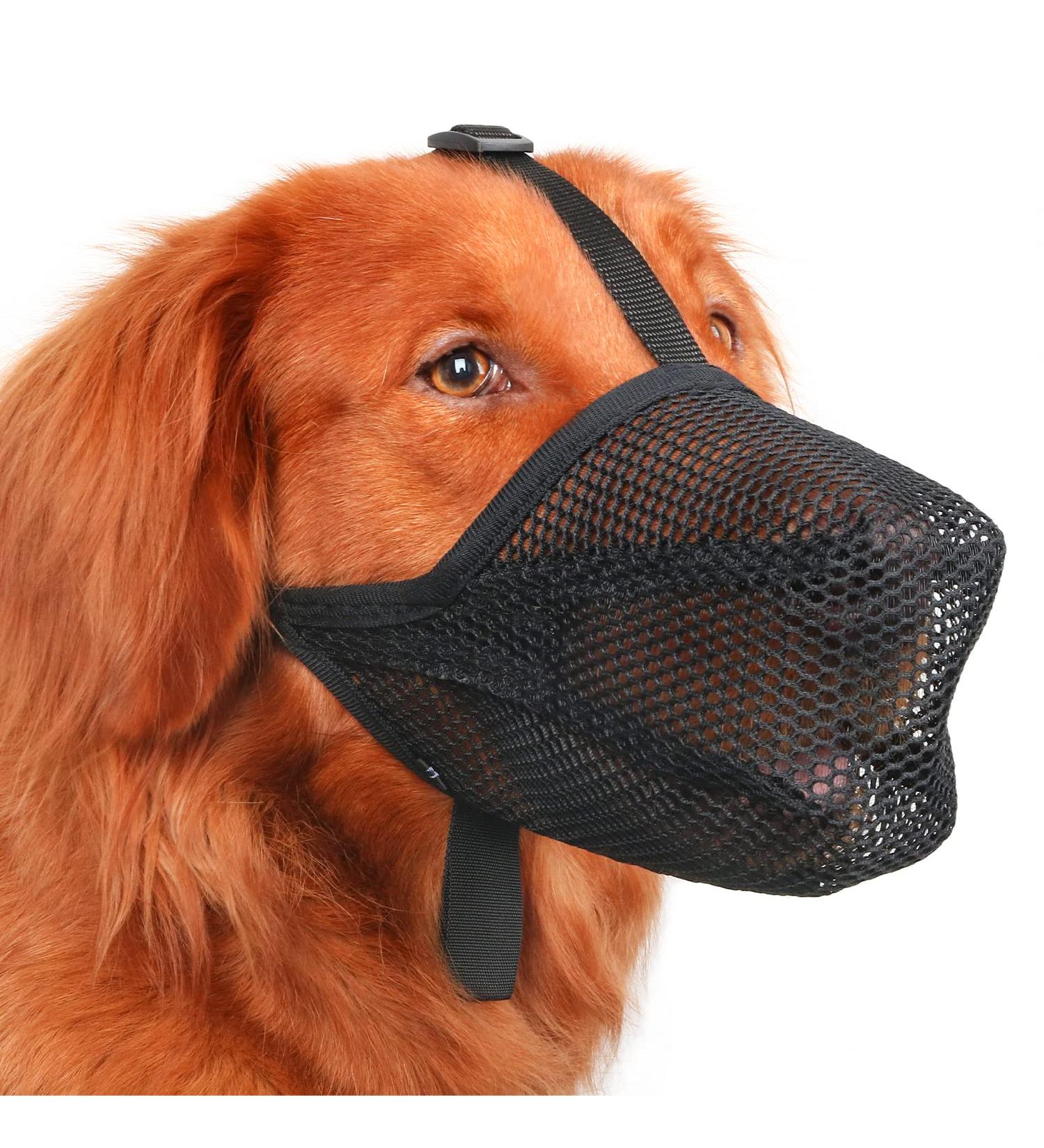 Adjustable Soft Dog Muzzle for Small Medium & Large Dogs - Comfortable Baskets for Biting Licking & Chewing - Black S (Snout: 8 - 9 ) - Buy Online on GoSupps.com