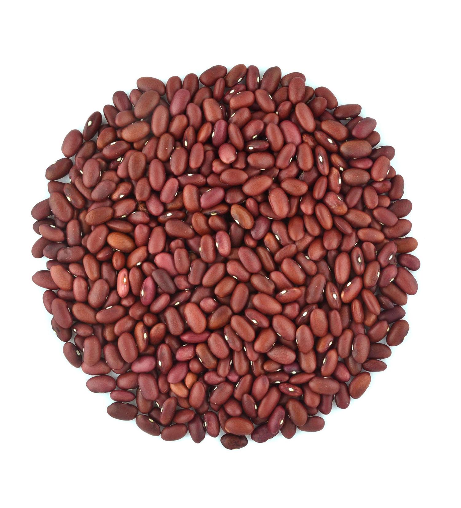 Organic Dark Red Kidney Beans- Fiber & Protein rich  Raw  Non-GMO  Vegan Bulk-10LB Organic Dark Red Kidney Beans 10 Pound (Pack of 1) - Buy Online on GoSupps.com