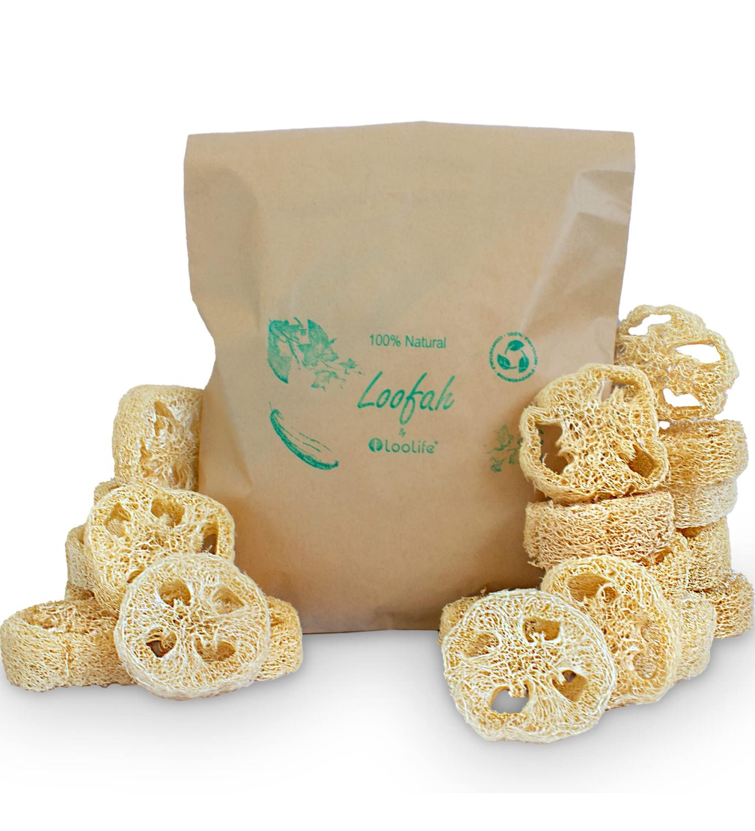 Organic 100% Natural Loofah Slices for Soap Making (20 Pack) - Luffa Cuts Kit - Hamster Chew Toys - Buy Online on GoSupps.com